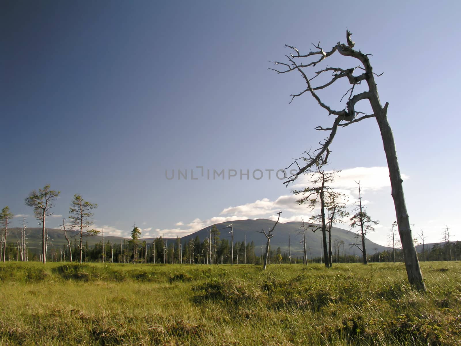 Beautiful mountain landscape with blue sky 
