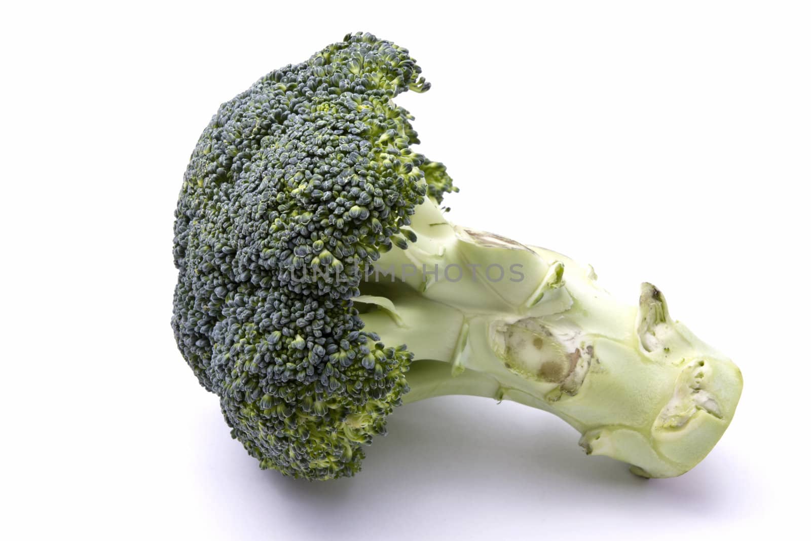 Fresh broccoli closeup on white background