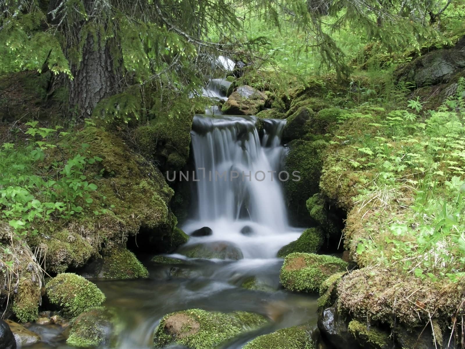 Beautiful landscape of mountain stream