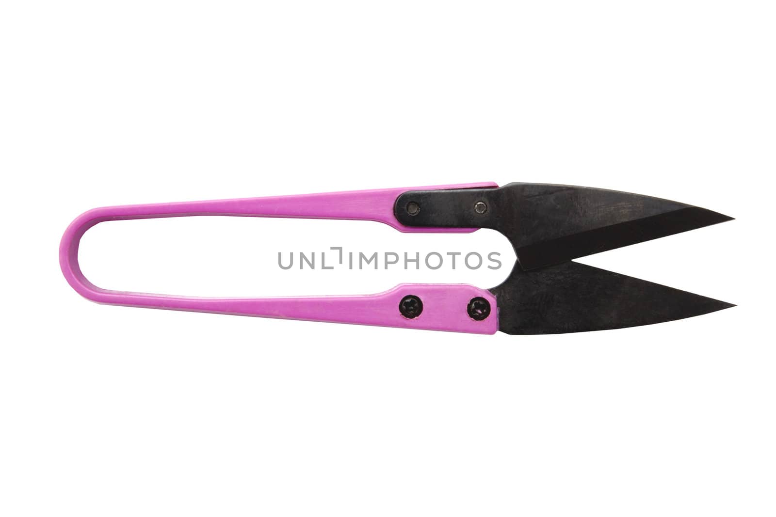 Flower cutter isolated on white background