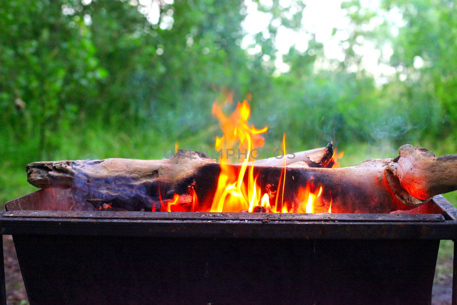 campfire in the brazier on the nature