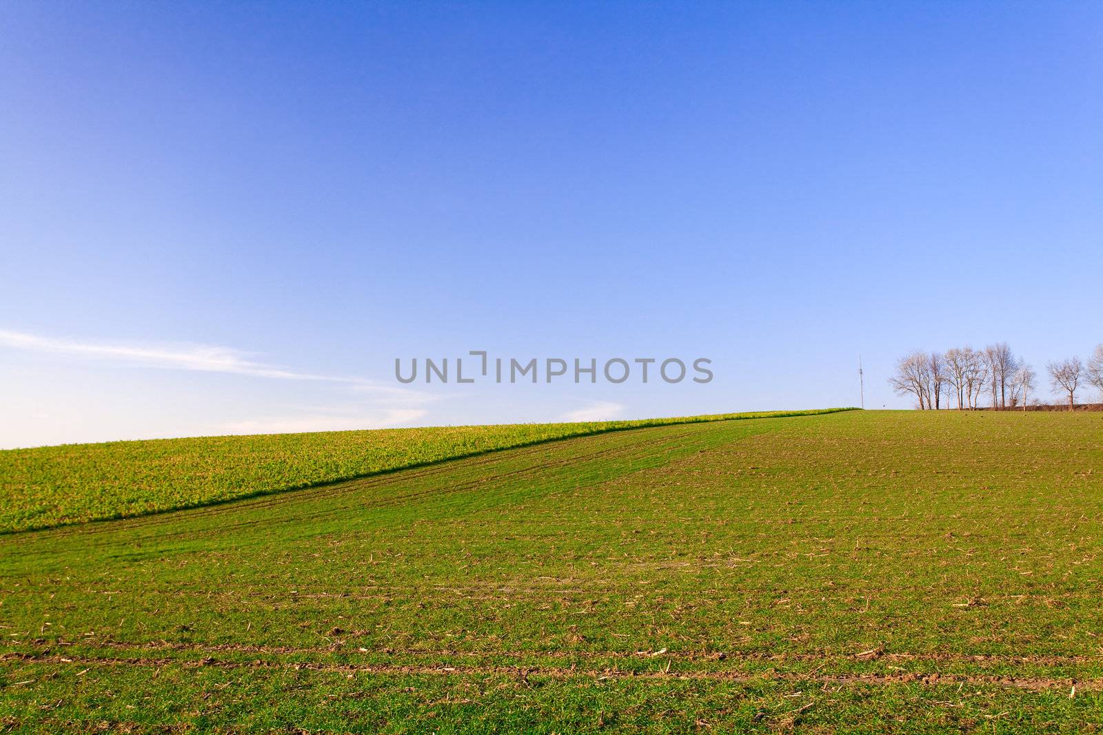 minimalistic landscape with  by catolla