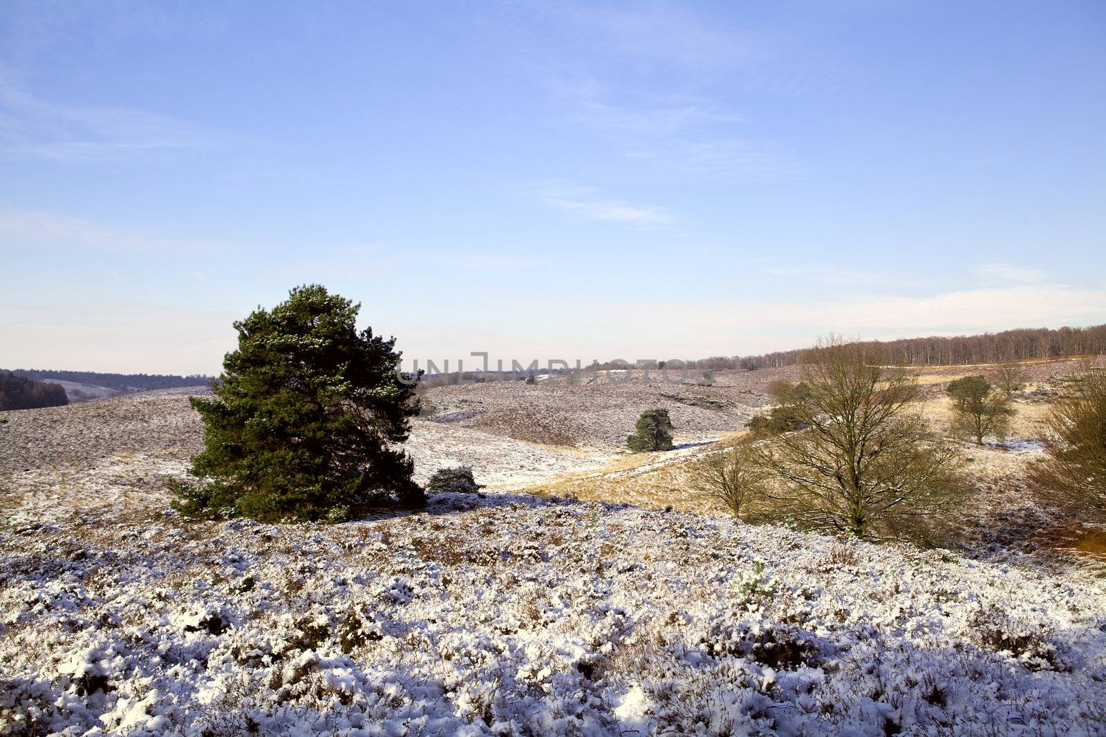view on hills in Rheden during the winter