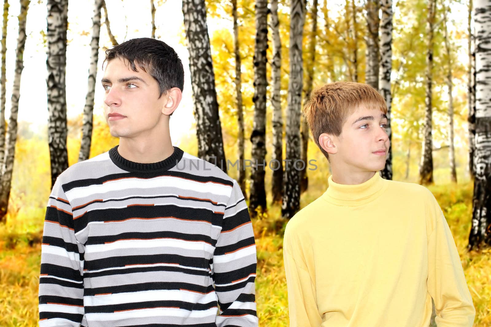 two teenage boys in the autumn park look in different directions