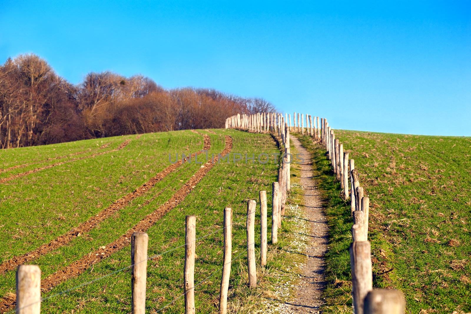 path with wooden fence leads to the hill top