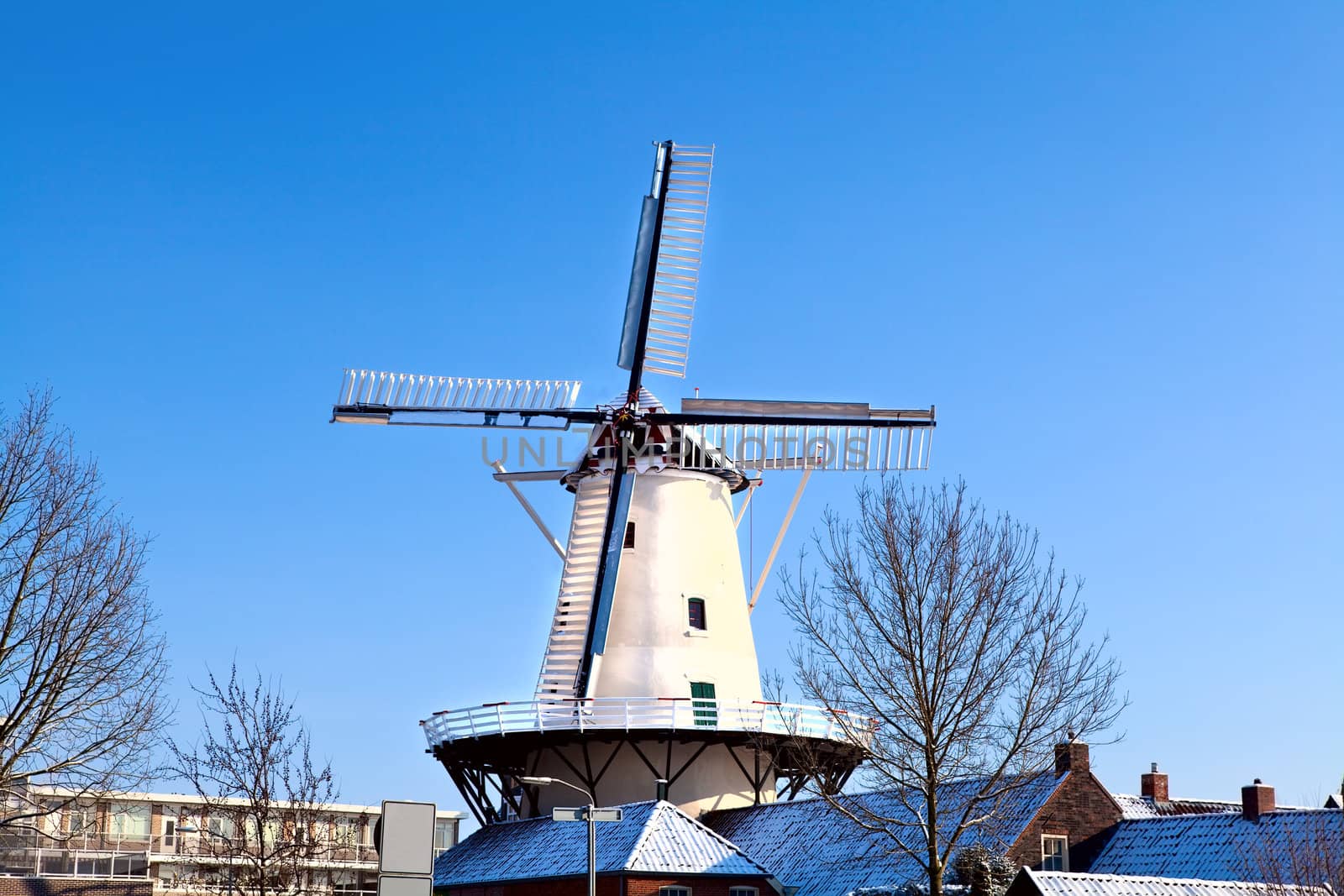 white Dutch windmill over blue sky in winter