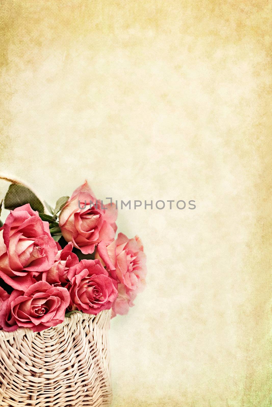 Basket of pink long stem roses with copy space available.