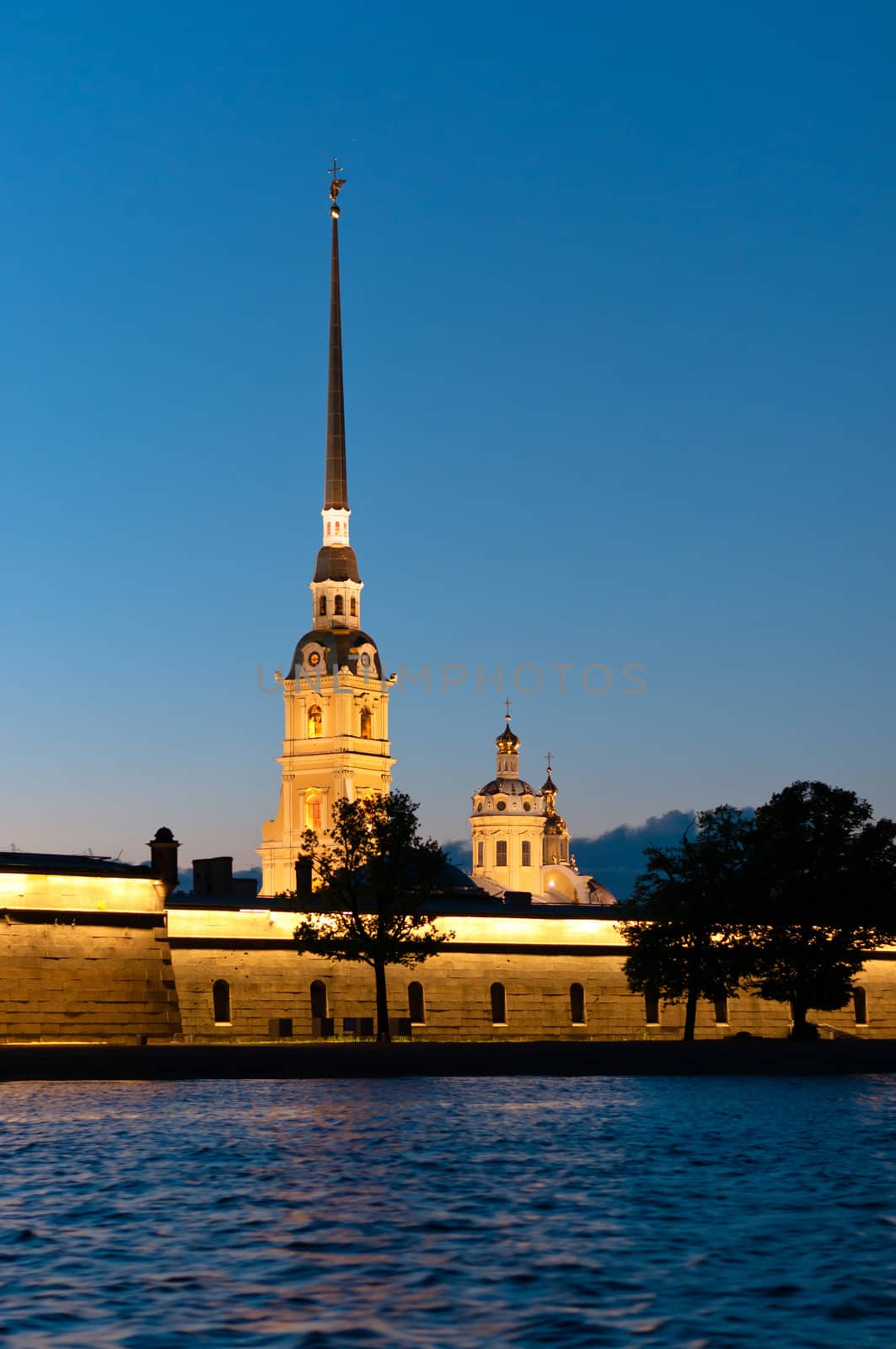 Peter and Paul fortress vertical view by dmitryelagin