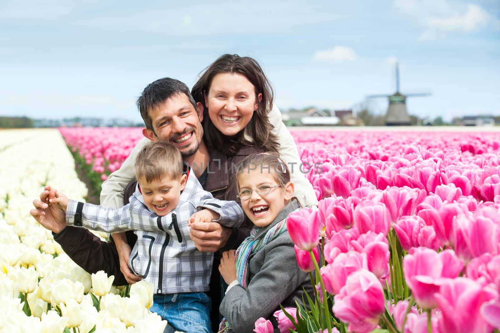 Family of four walks between of the purple tulips field