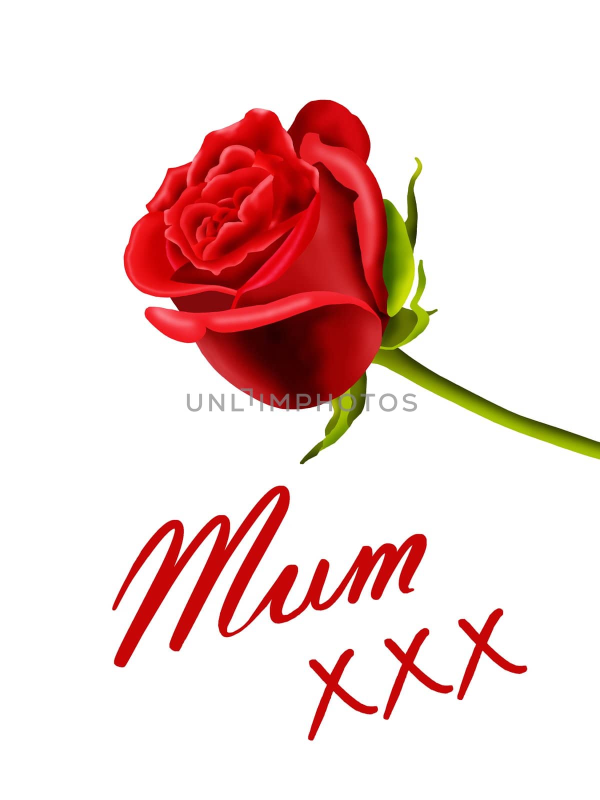 Birthday card for Mum with a single red rose isolated on a white background