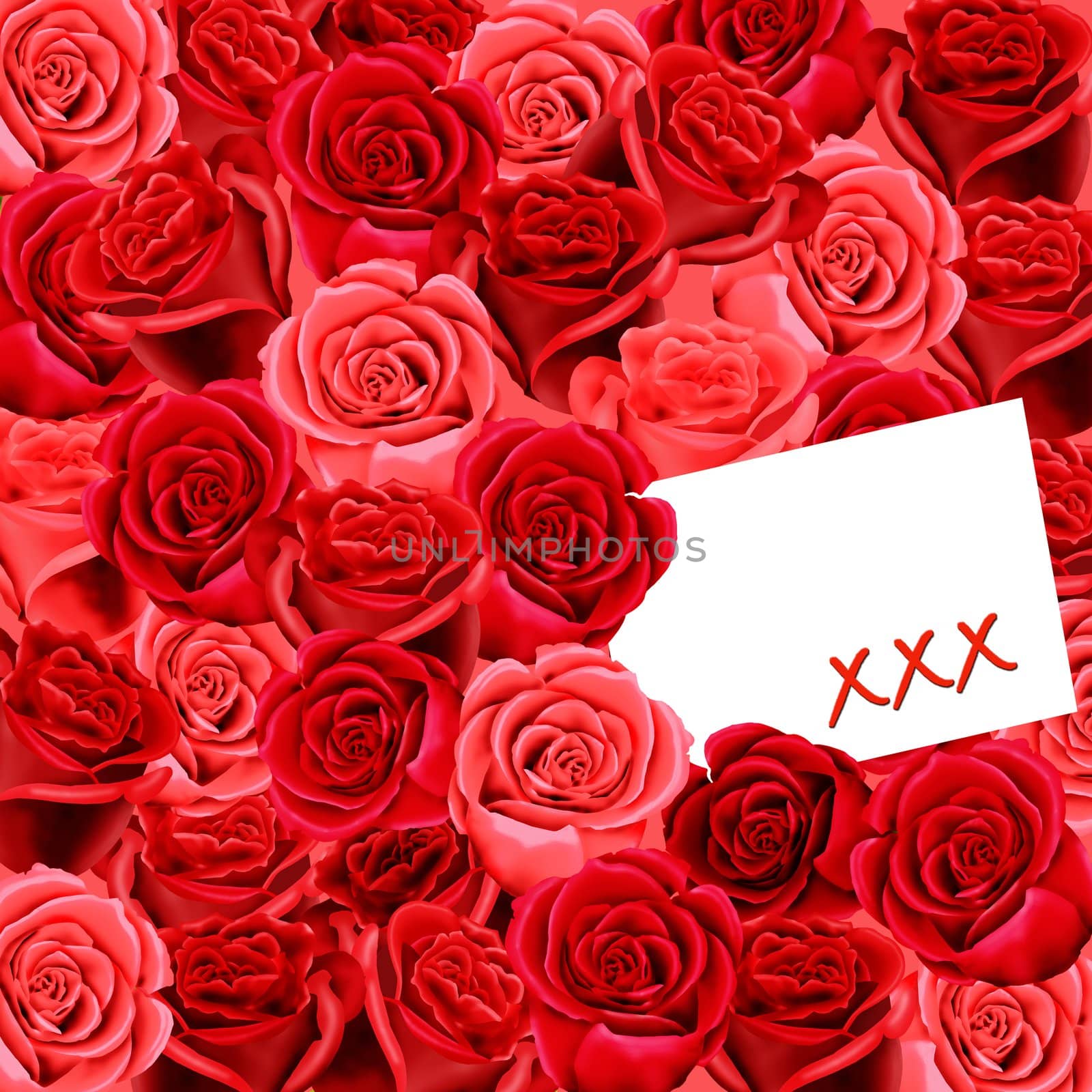 xxx on a card on a wallpaper of red roses by acremead