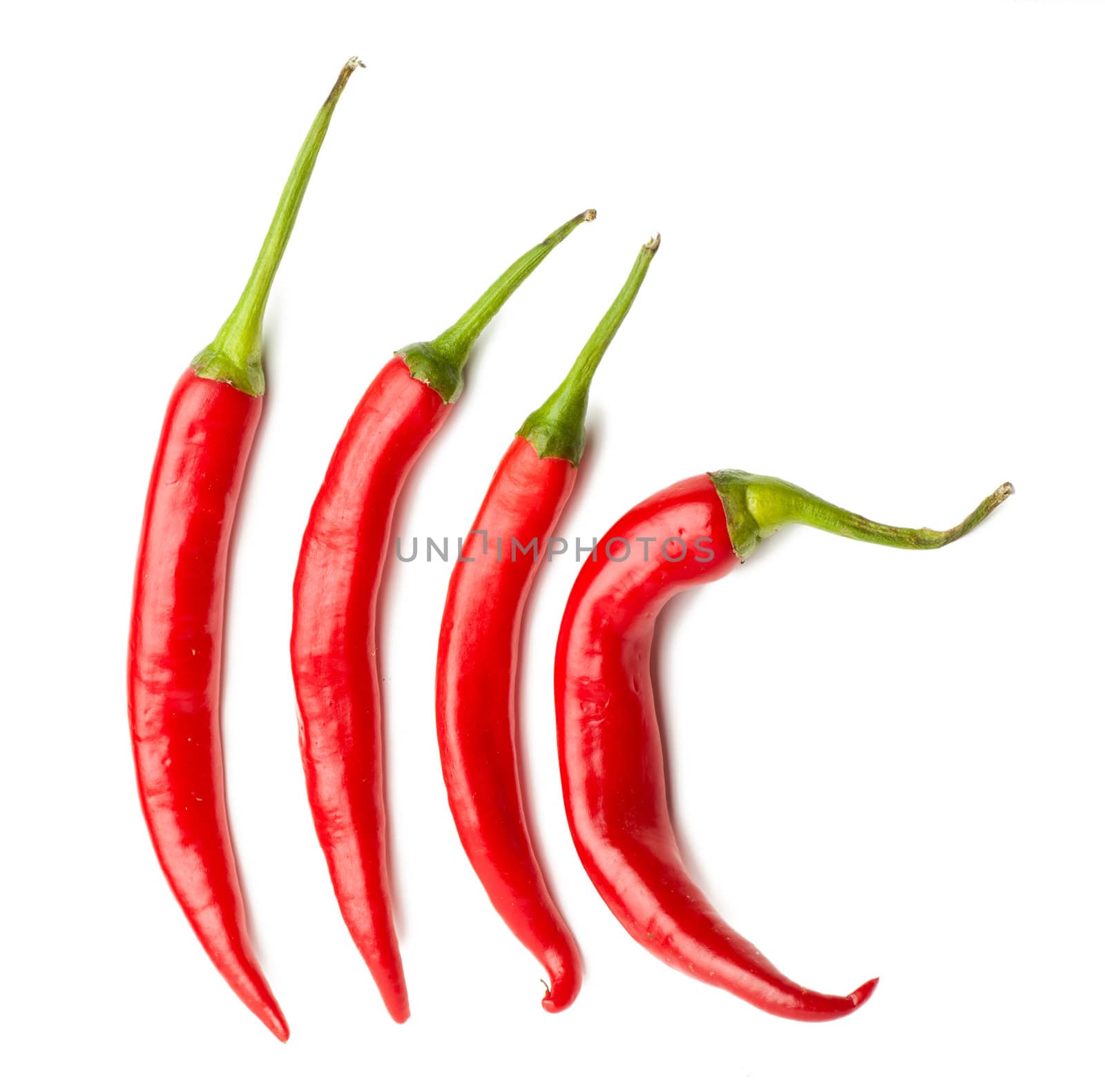 Four red chili peppers over white background