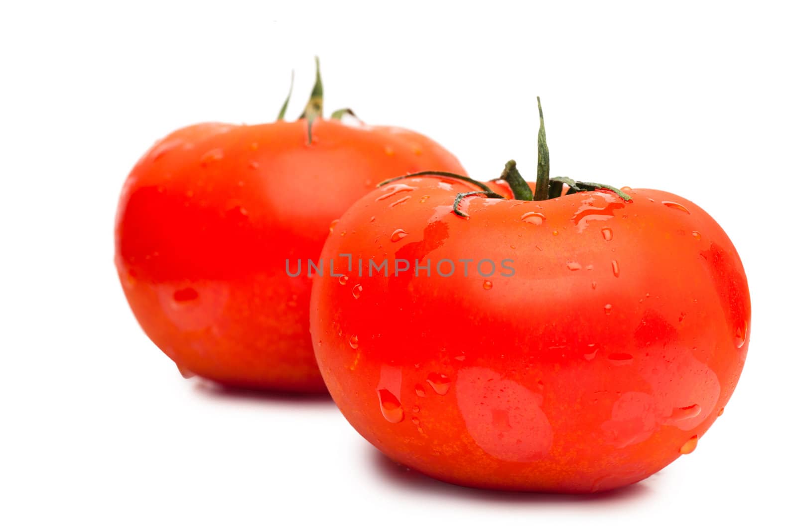 Two tomatoes isolated on the white background