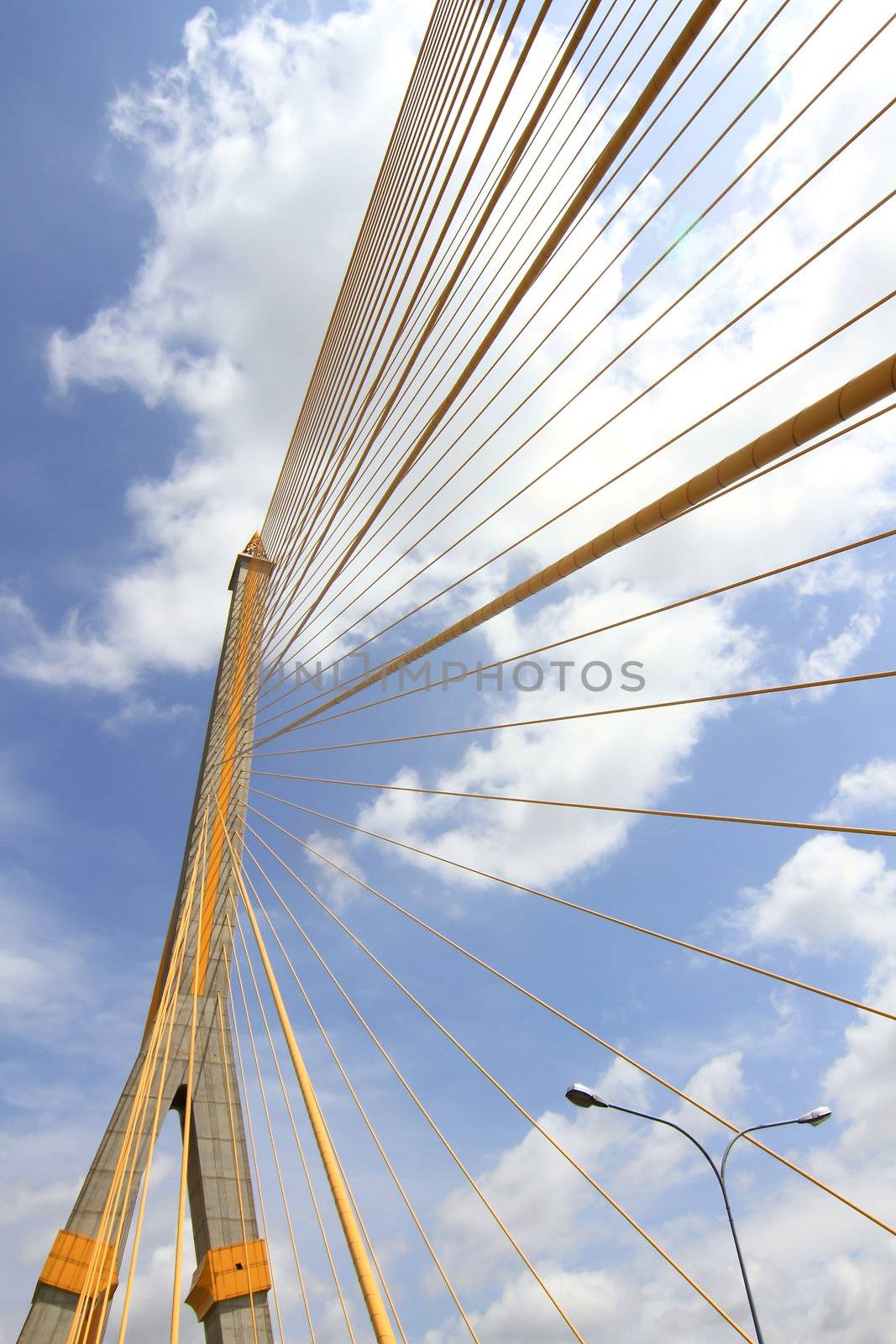 Mega sling Bridge,Rama 8, in bangkok Thailand 
 by rufous