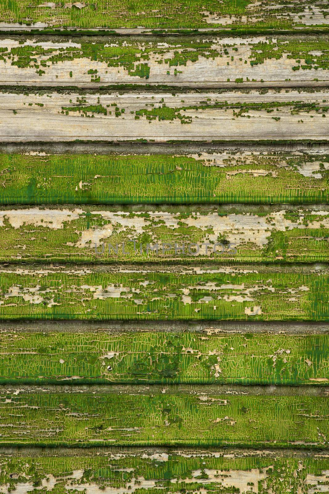 Background picture made of old green wood boards