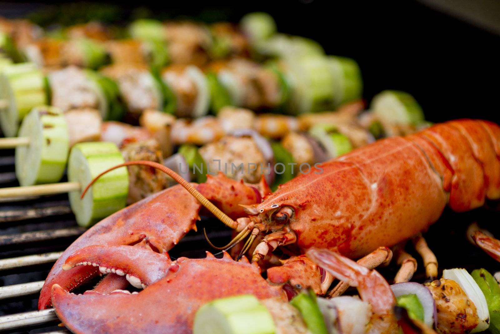 Lobster and Salmon Veggie Skewers. by coskun