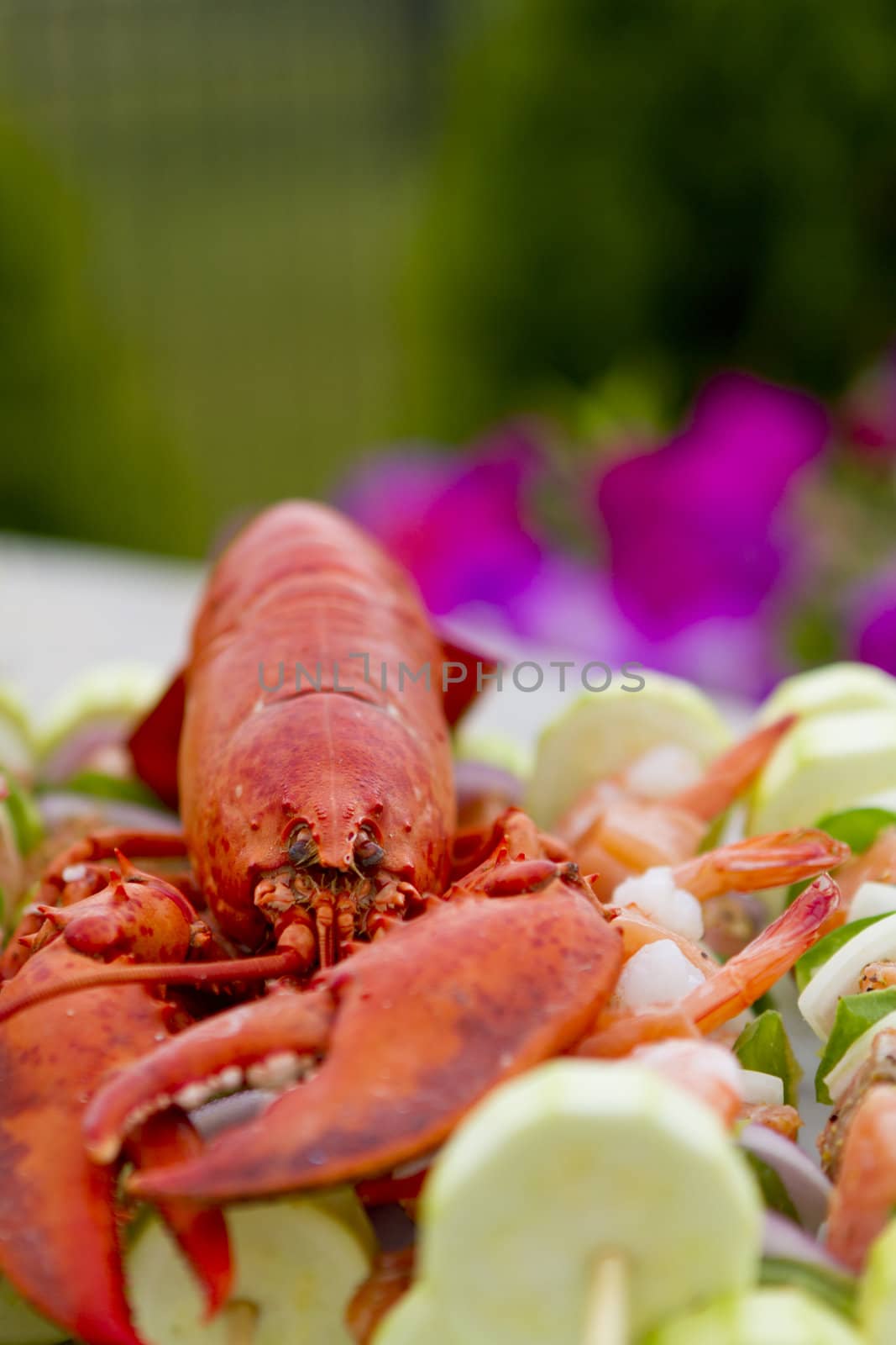 Lobster complimented with vegetable shrimp kebabs, outside.