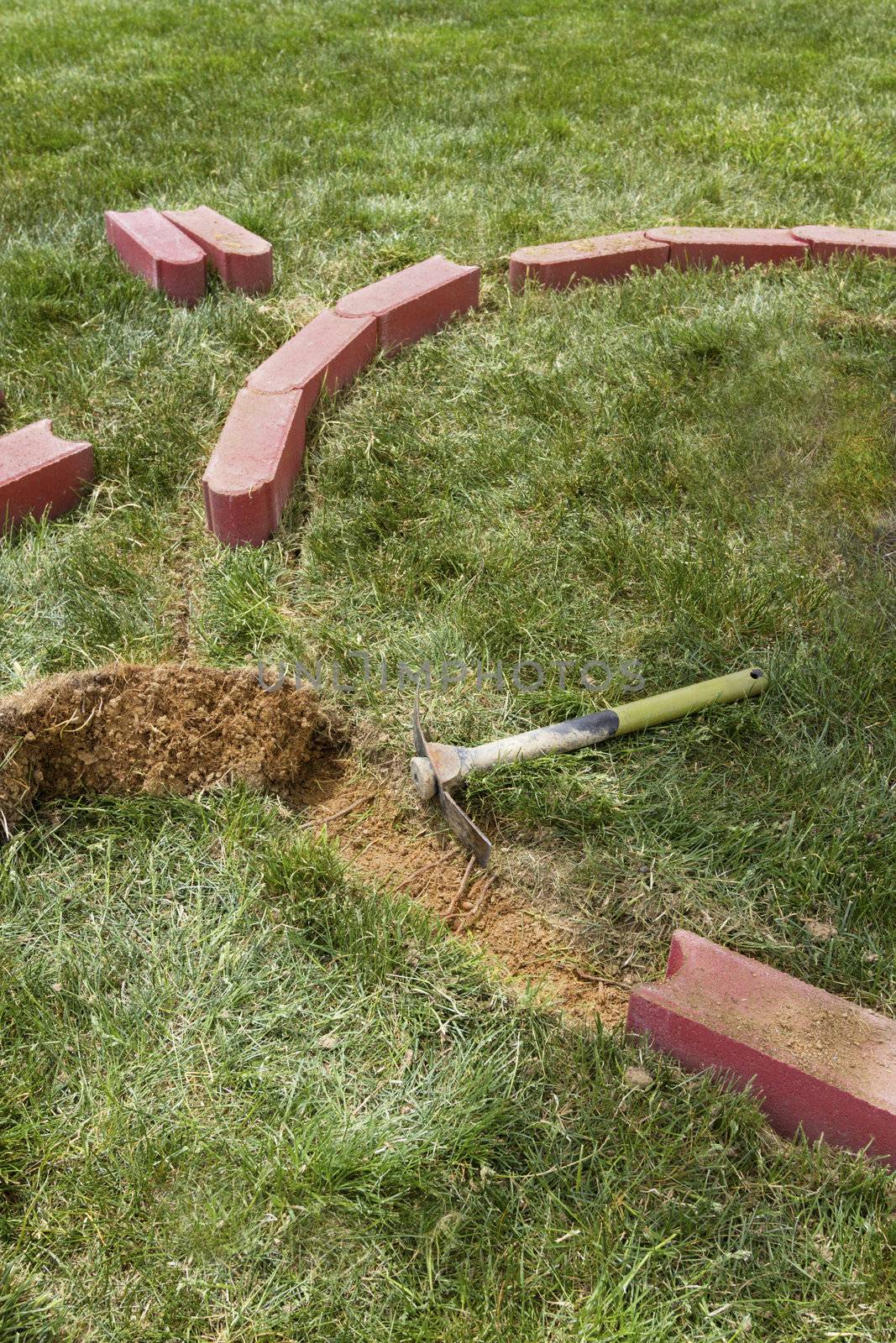 Installing brick edging with one side rounded bricks by removing the grass.