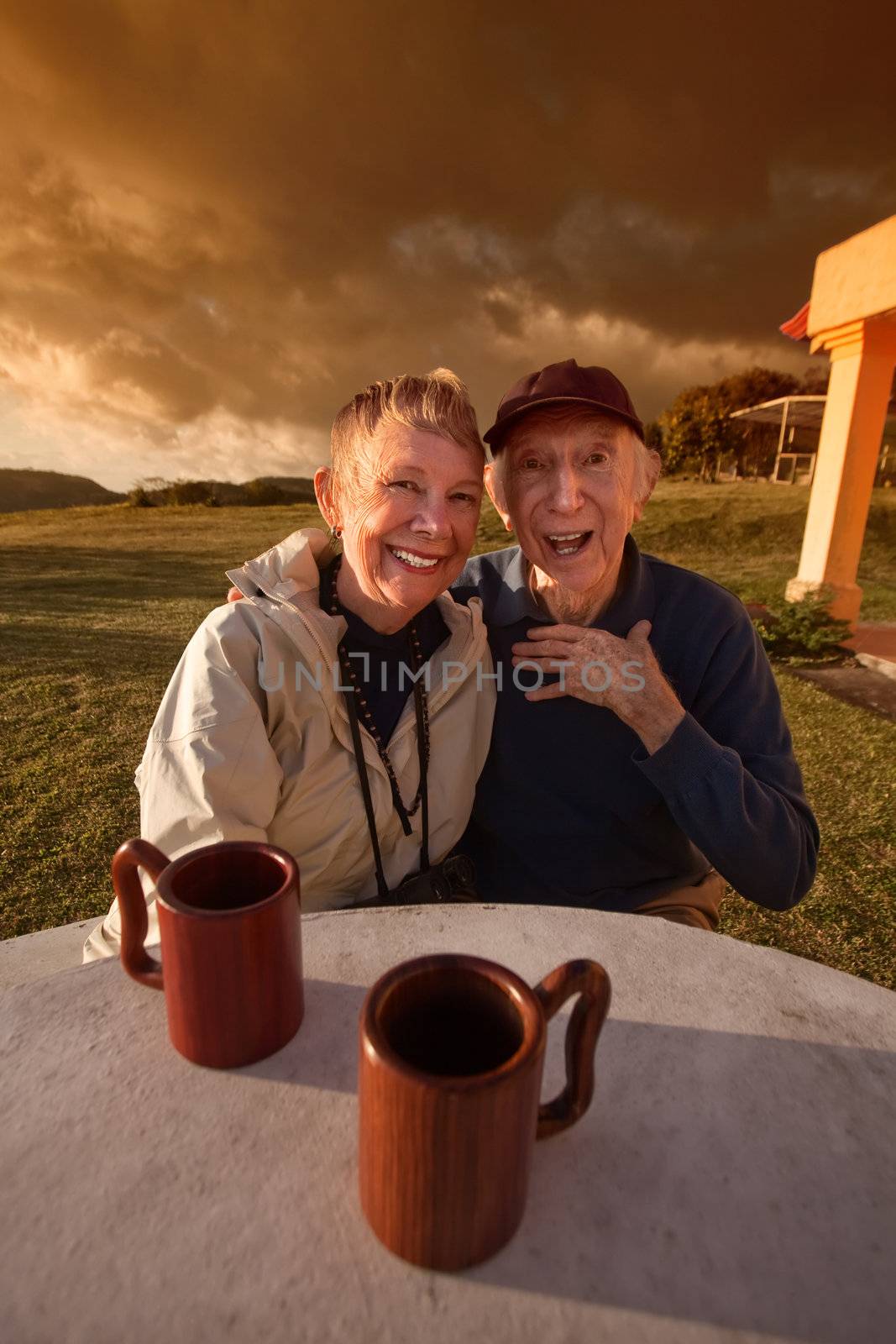Cute elderly couple at table in a field