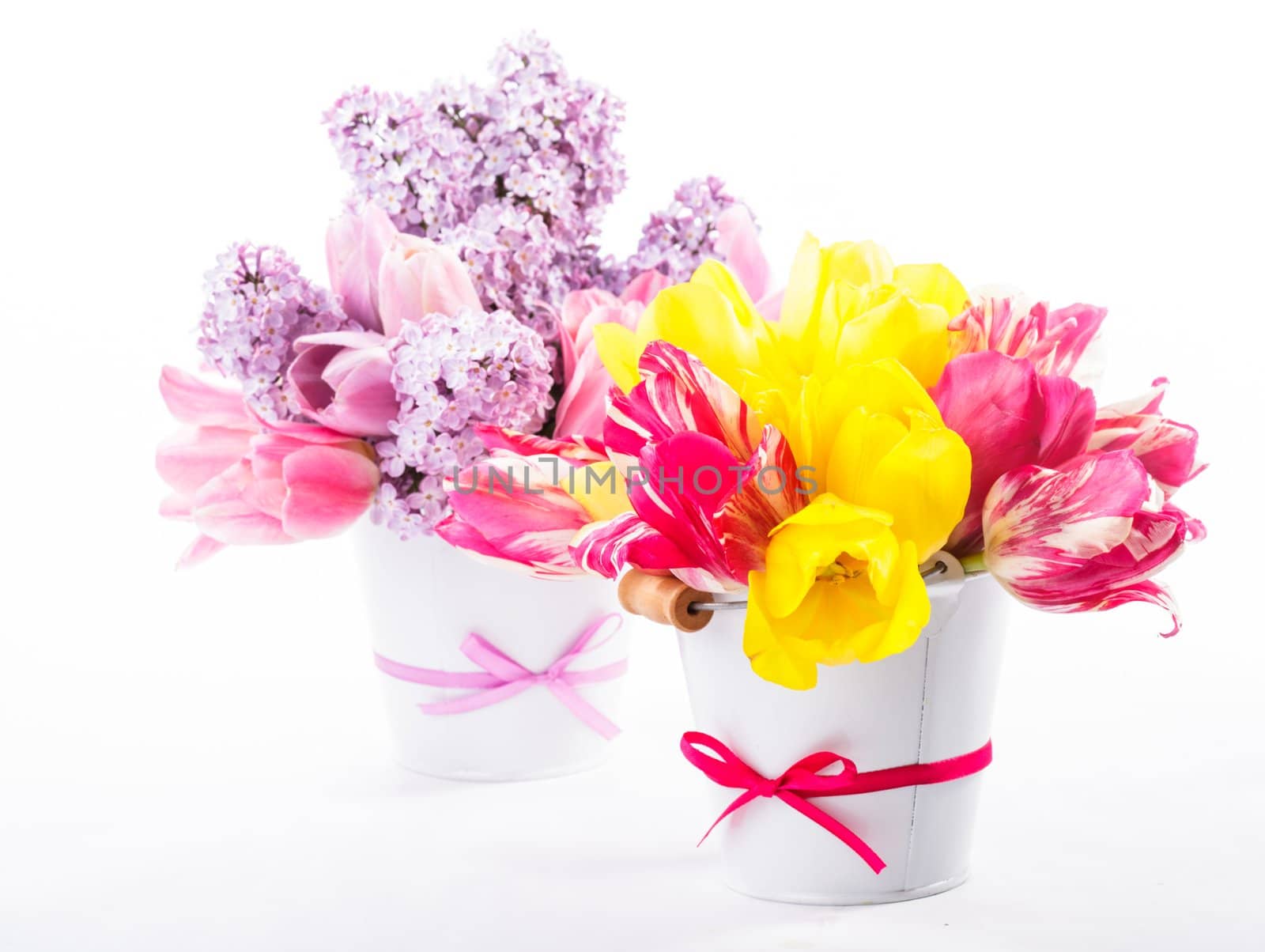 Bouquets from tulips and lilac on white