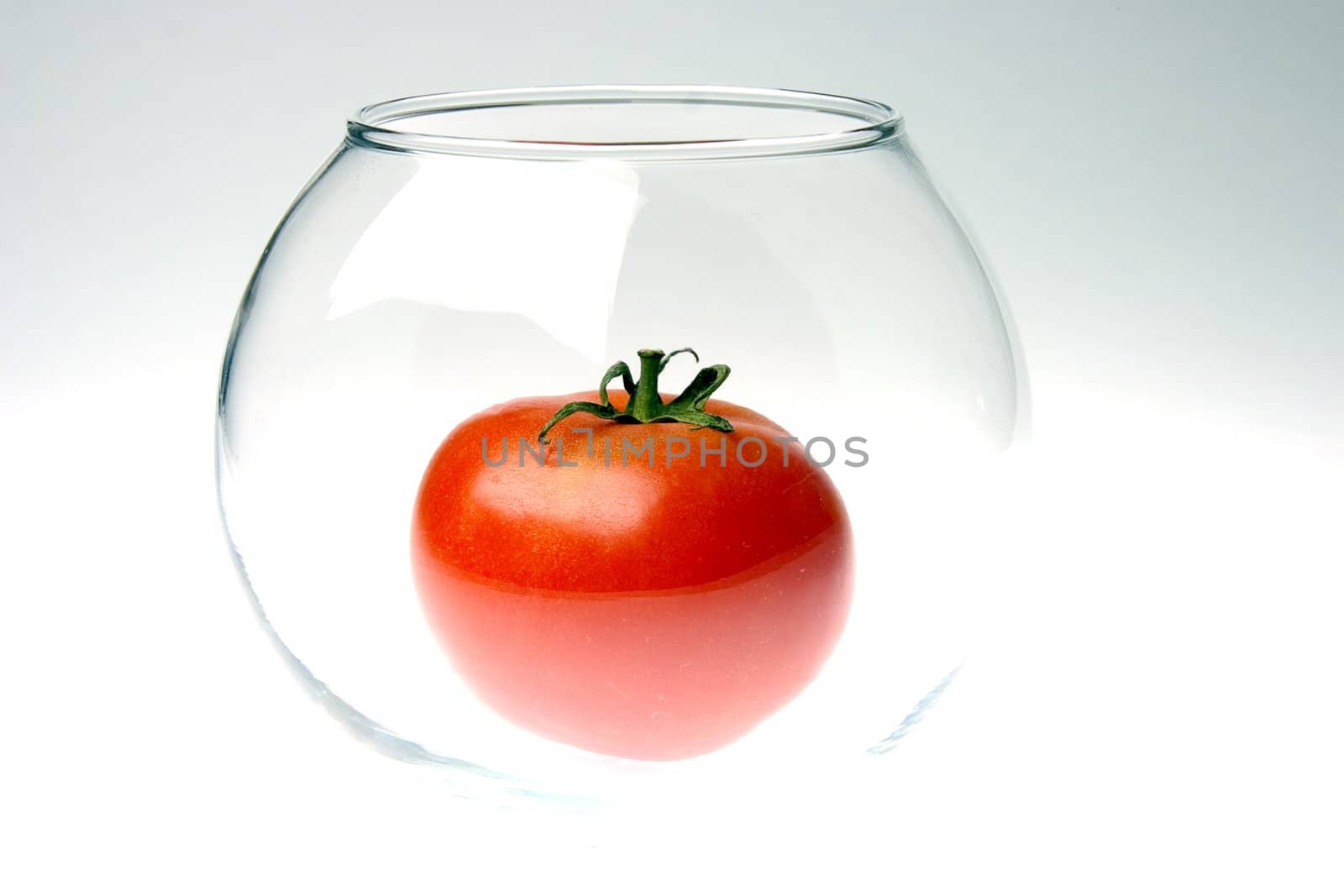 red ripe tomato in a glass round jar on a gradient background