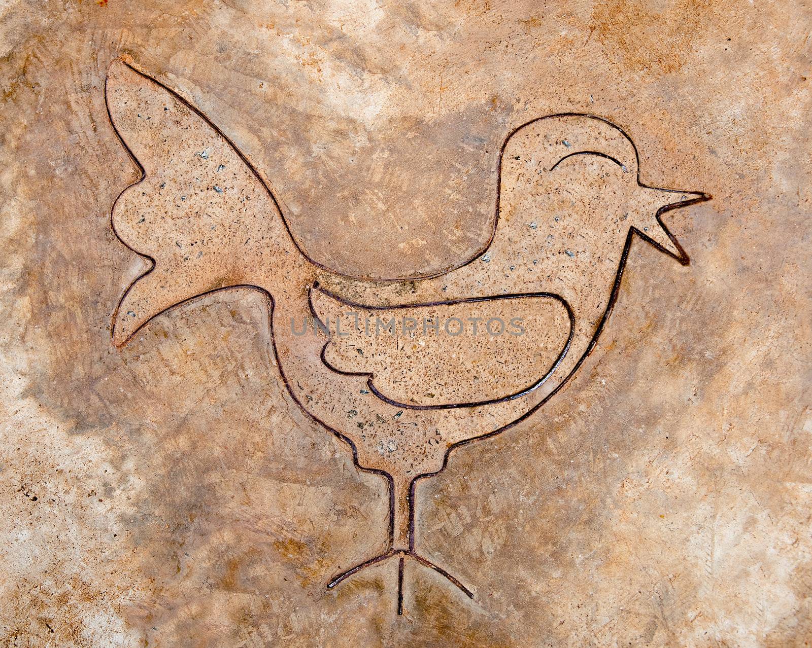 The Iron pattern line of bird on cement floor