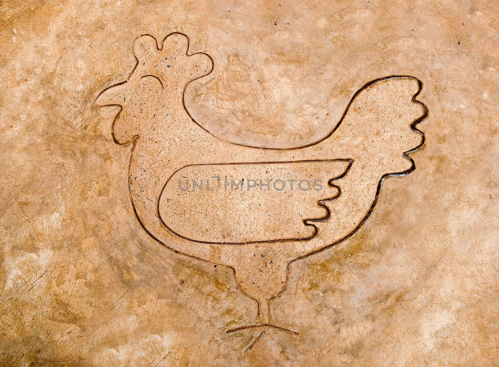 The Iron pattern line of chicken on cement floor