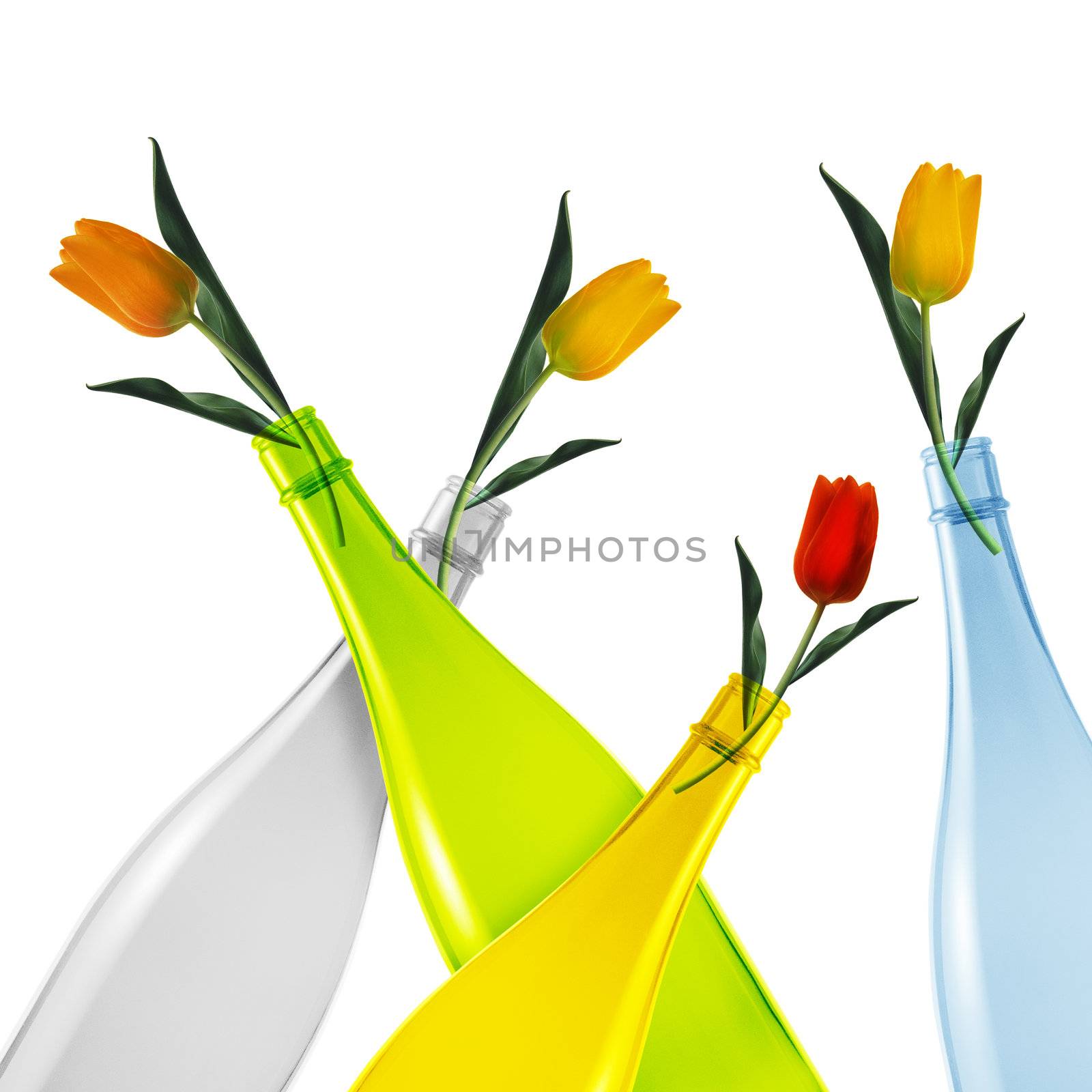 colored empty glass bottles and tulips on white background.