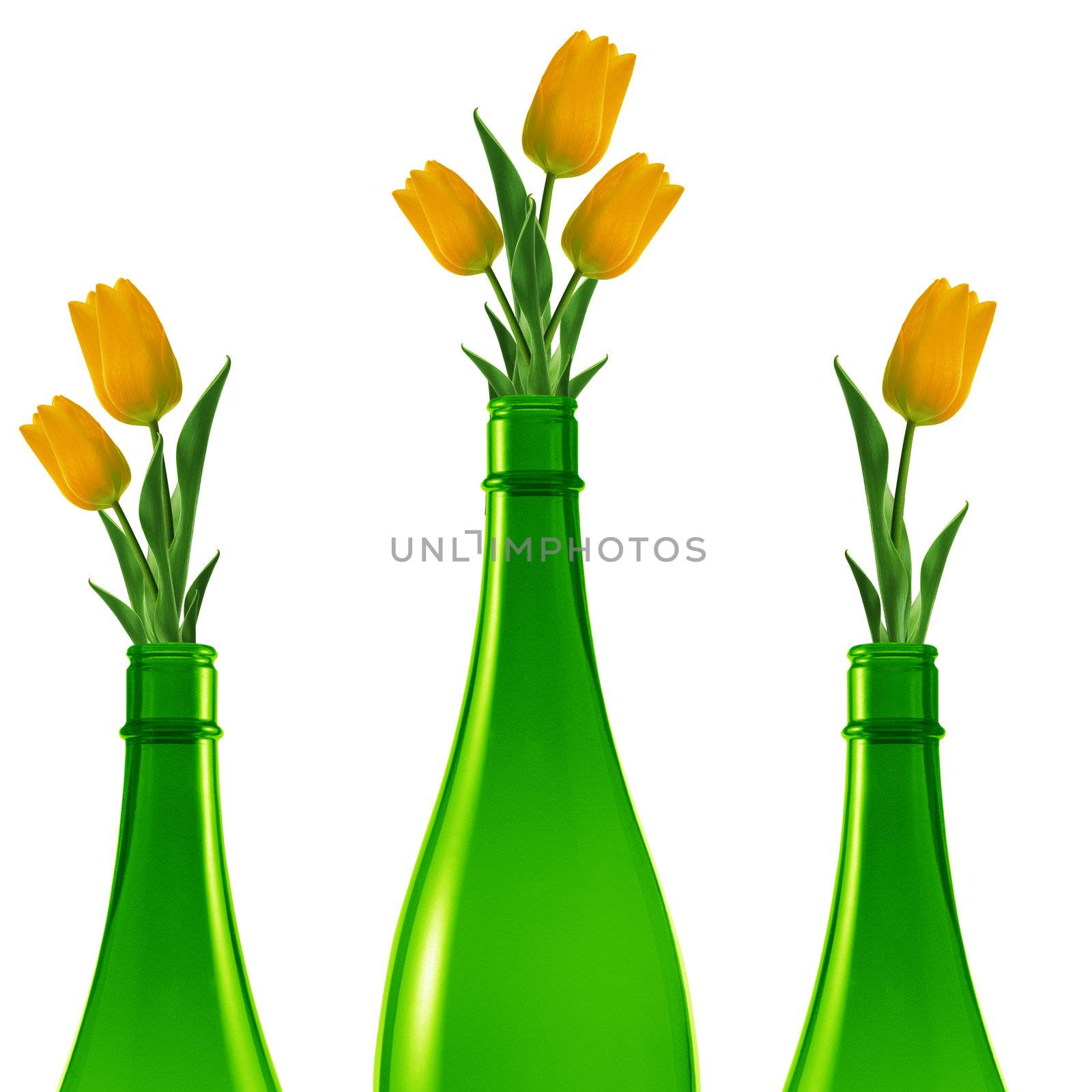 Three green glass bottles with yellow tulips.