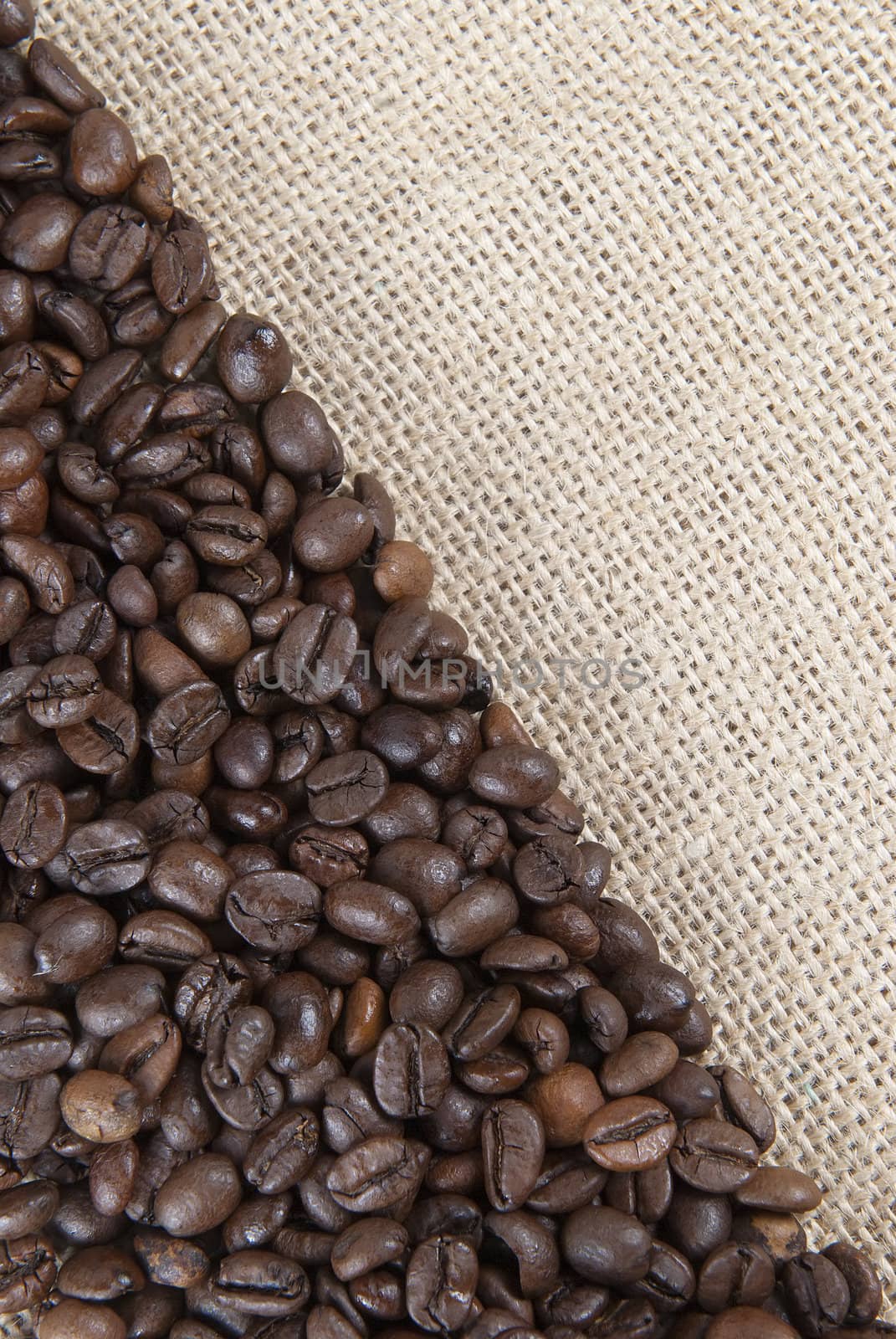 Burlap background with coffee beans. by angelsimon