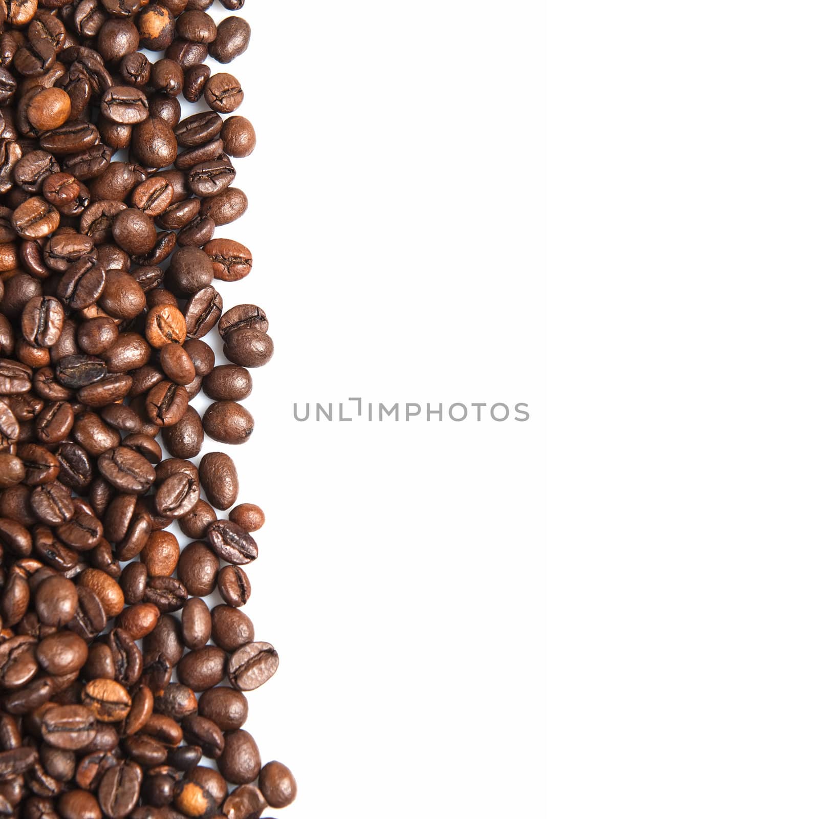 Coffee beans on a white background with a copy space.