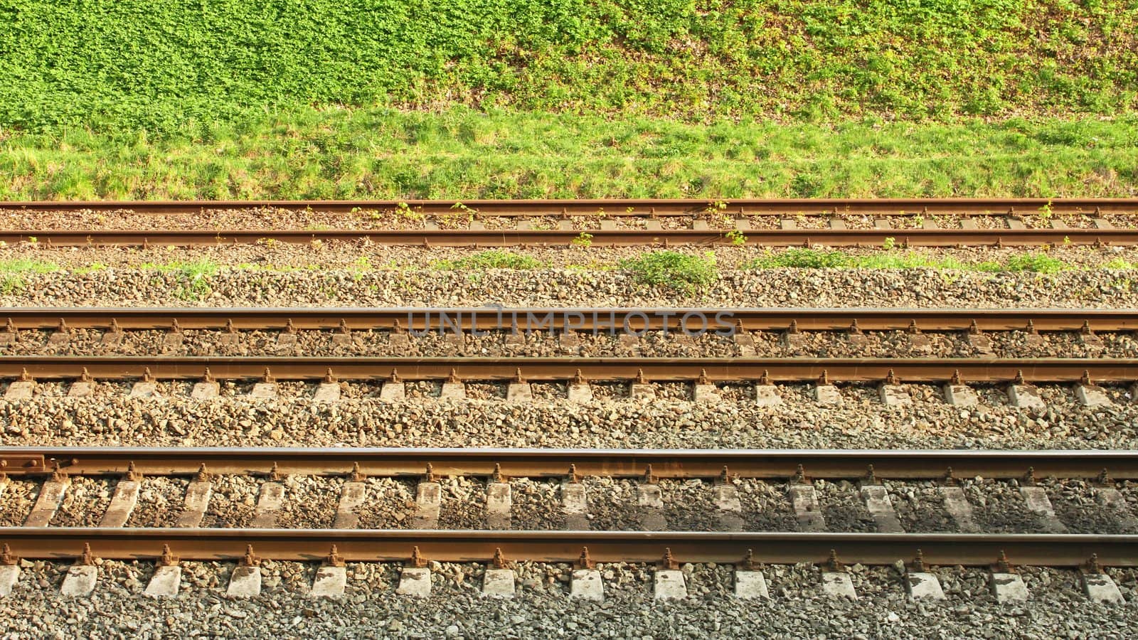 Parallel rail lines on the background of roadside covered with vivid grass