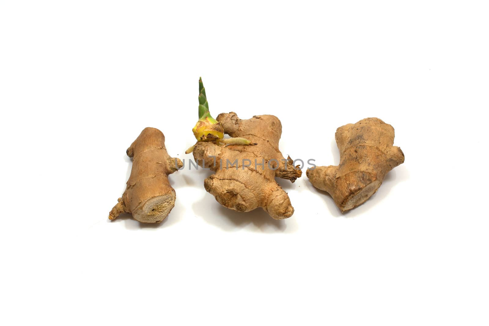 food fresh ginger root  gourmet healthy diet herb  isolated organic spice studio studio shot white background