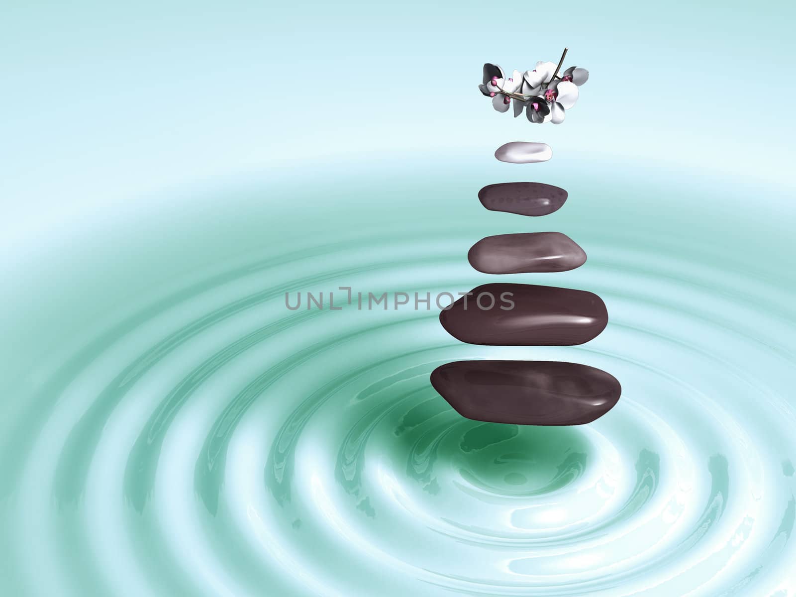 Stones in Levitation with orchids above green circular waves