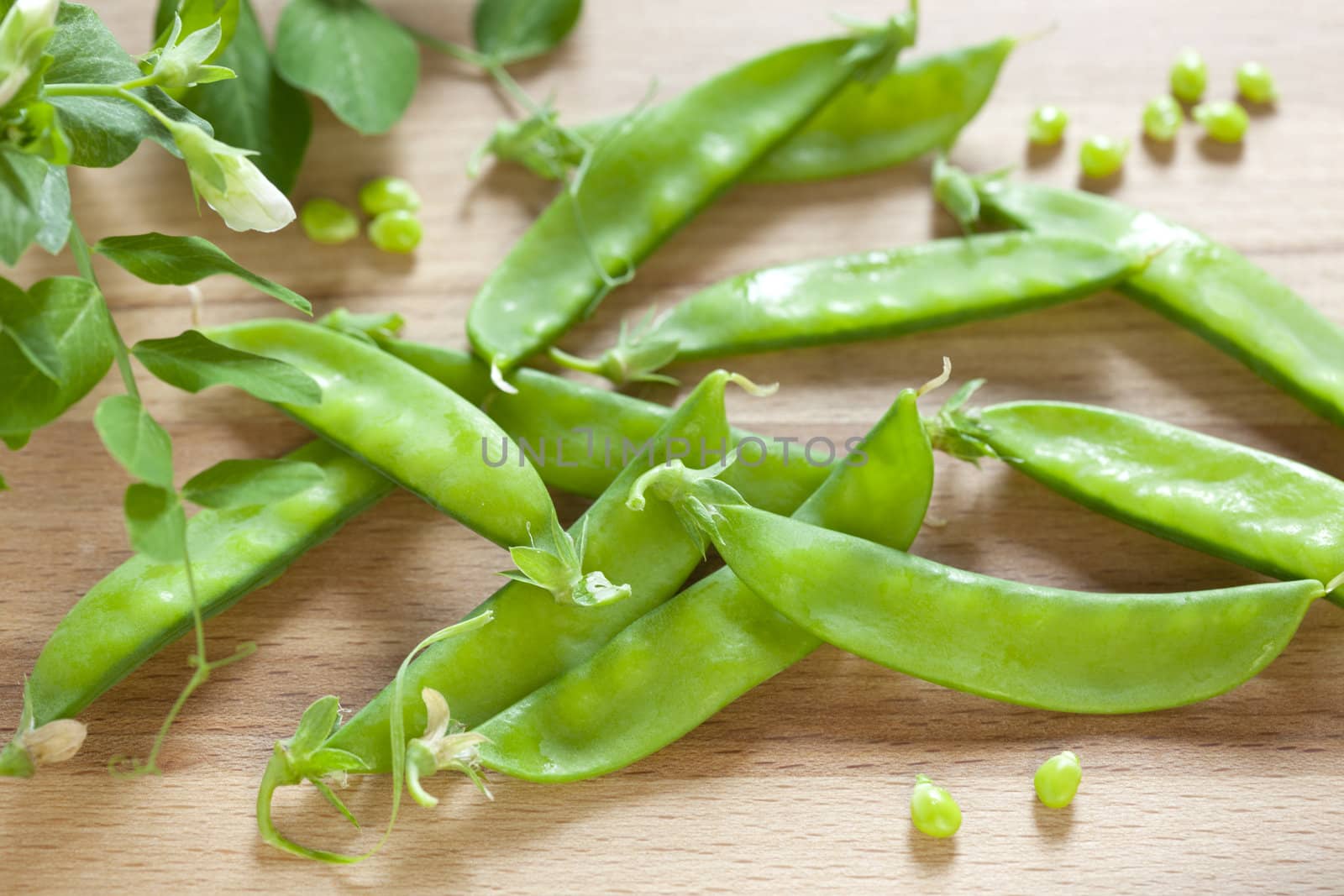 Freshly harvested snow peas on a yellow background