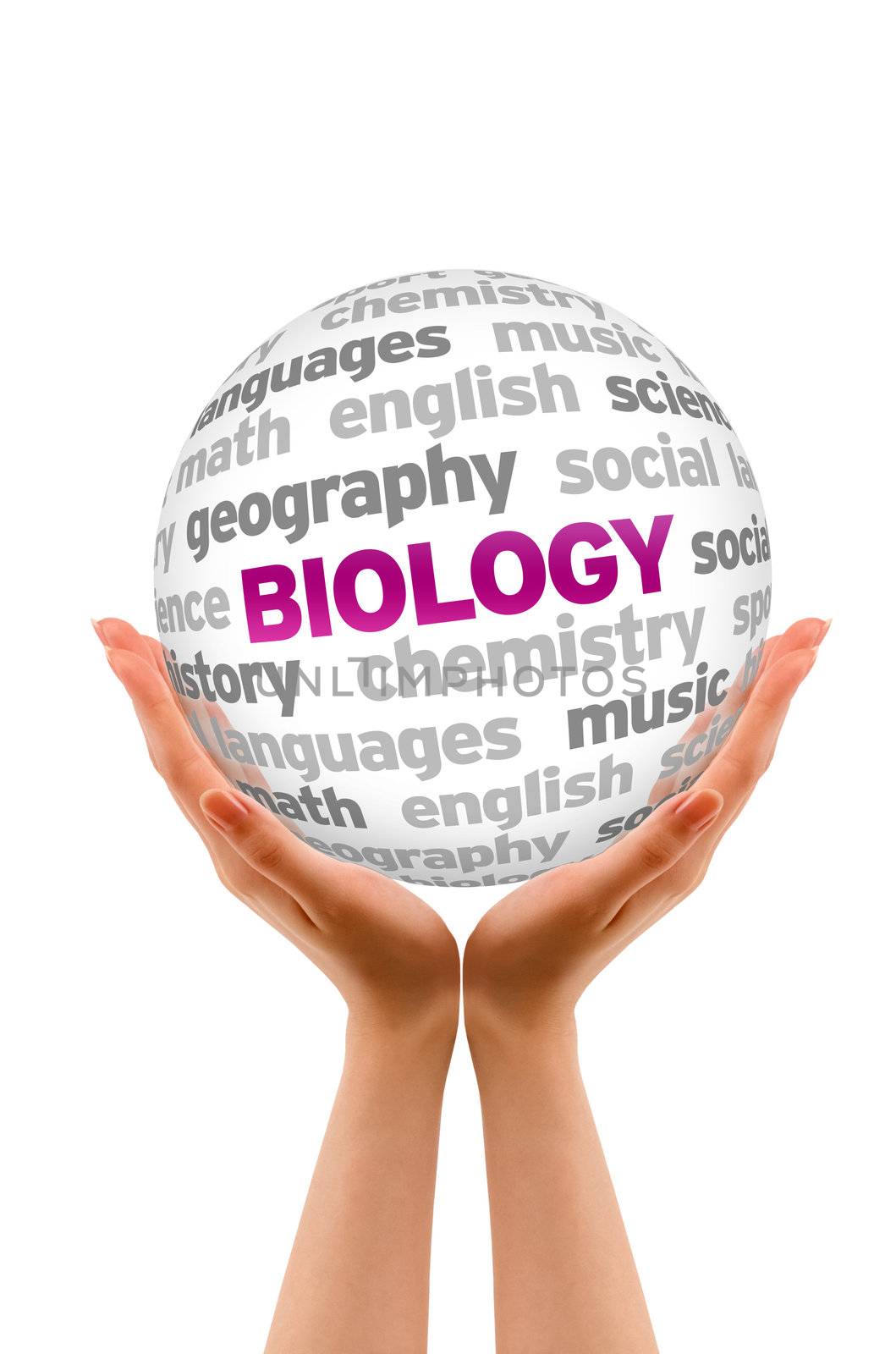 Hands holding a Biology Word Sphere on white background.