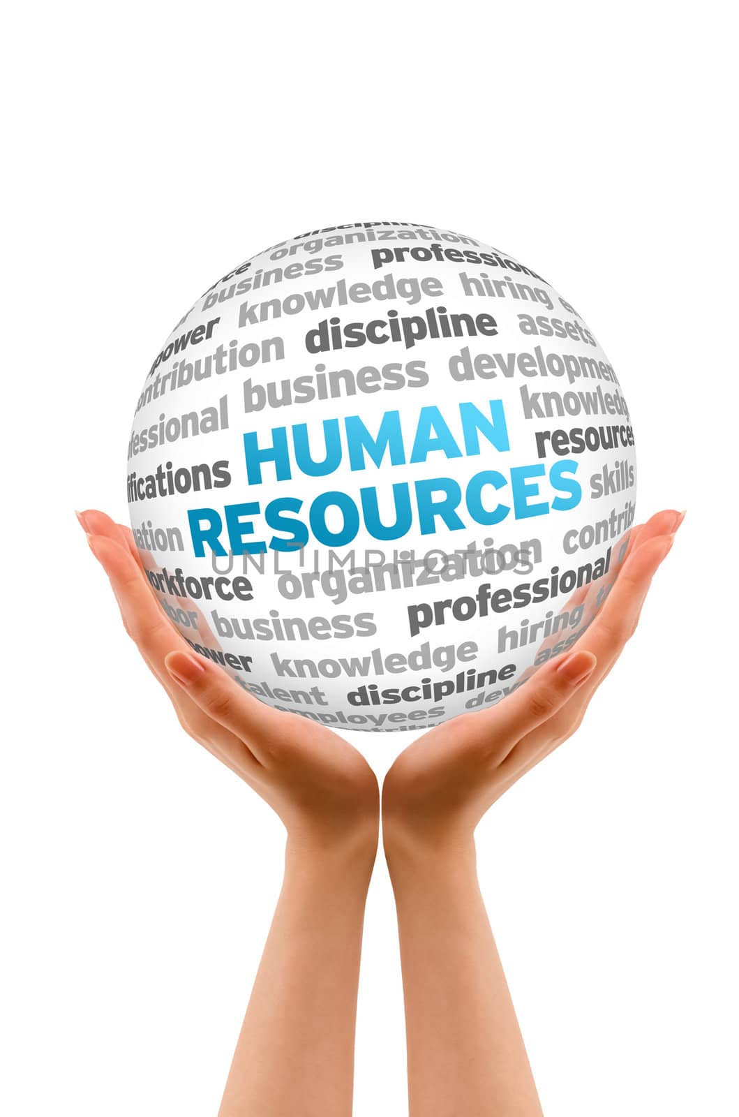 Hands holding a Human Resources Word  Sphere on white background.