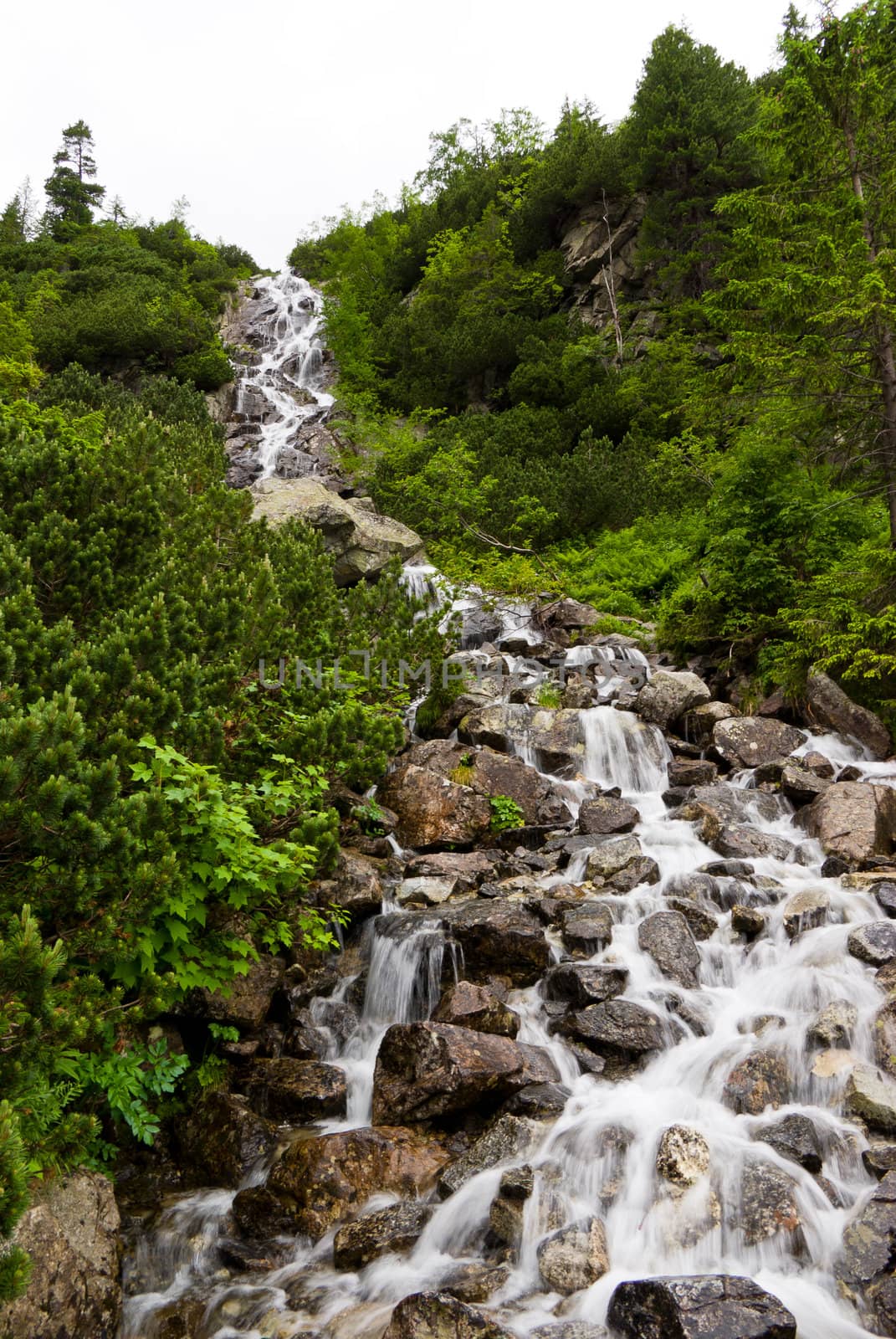 mountain landscape with stream by domenicosalice