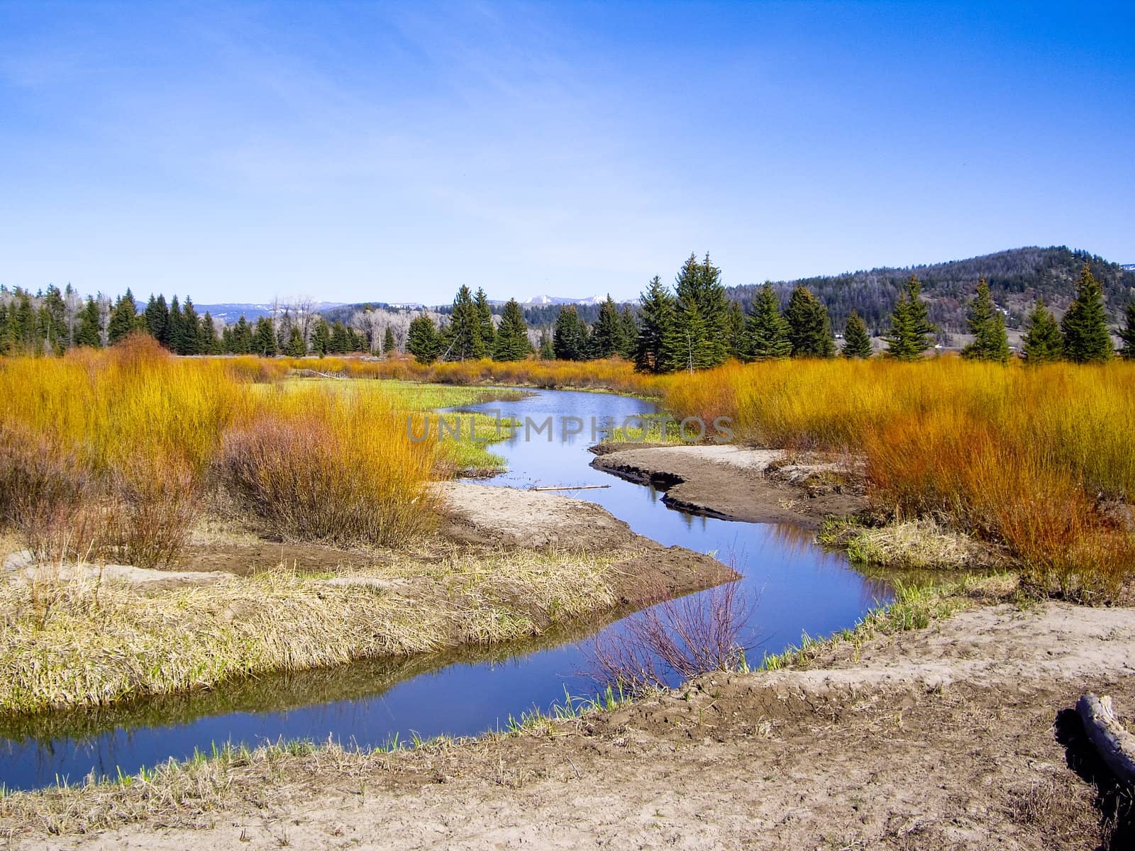 River in Grand Teton National Park, USA