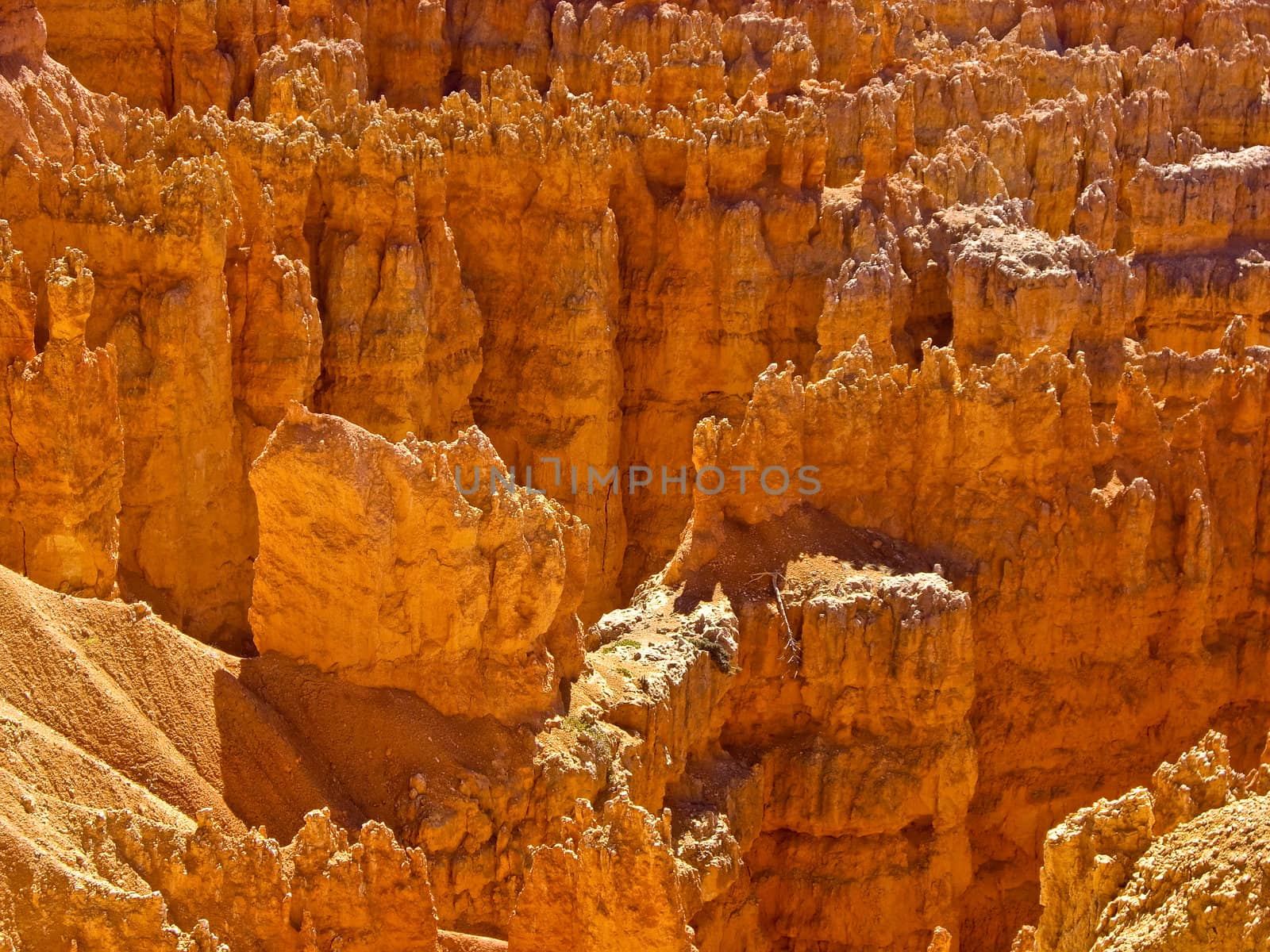 Rock Spires of Bryce National Park  by emattil