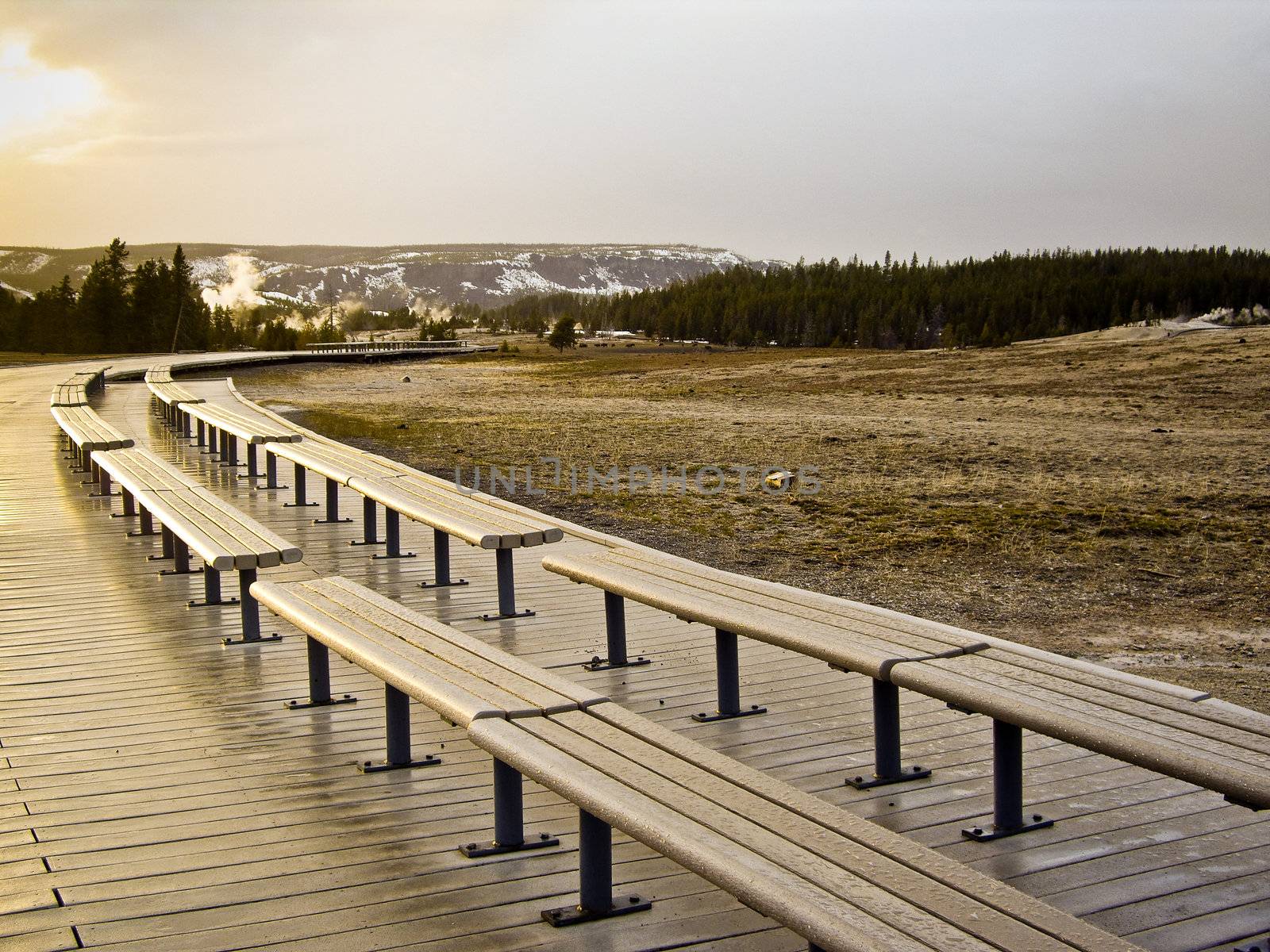 Benches on the boardwalk at Old Faithful Geyser by emattil