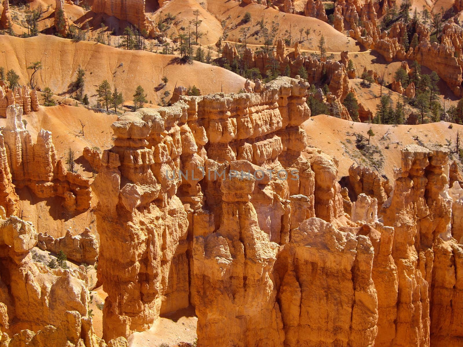 Strange rock formations in Bryce National Park, Utah USA