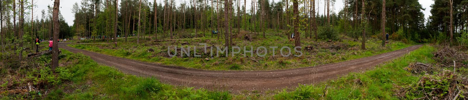 The Jim Walsh Cork Forest Rally by luissantos84