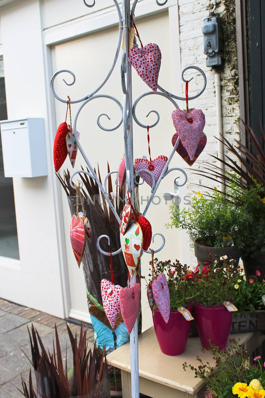 Selling holiday ornaments in the flower shop in Gorinchem. Netherlands