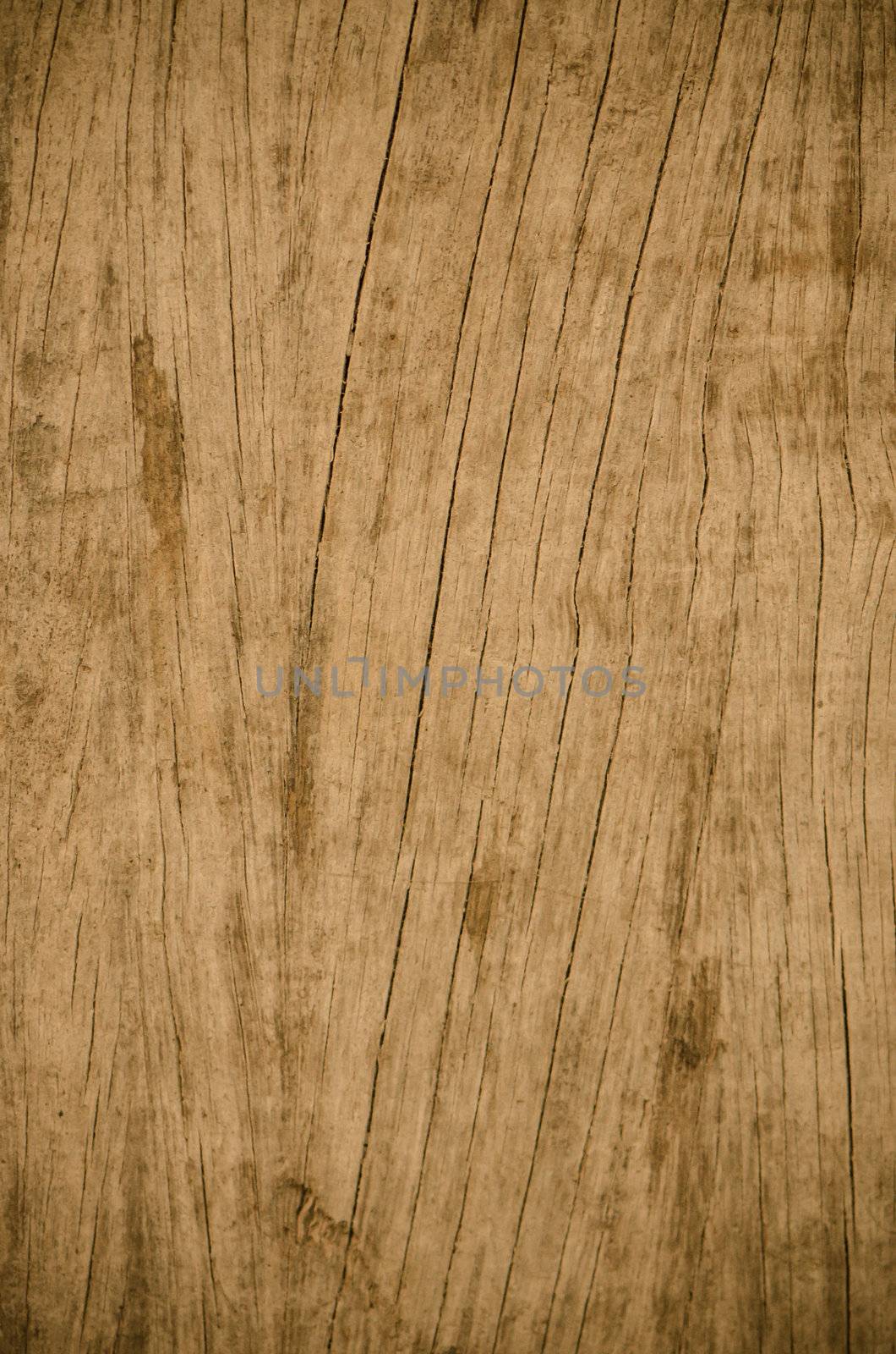 Old wood wall texture background.