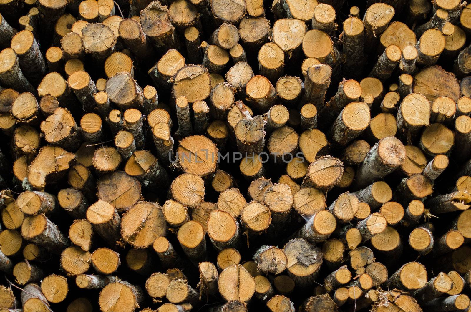 Stack of tree stump for background