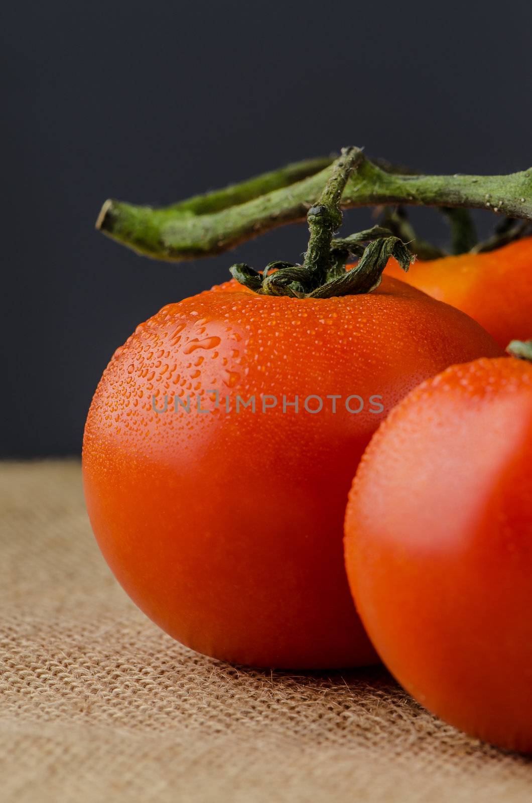 Closeup of cherry tomatoes on the vine.