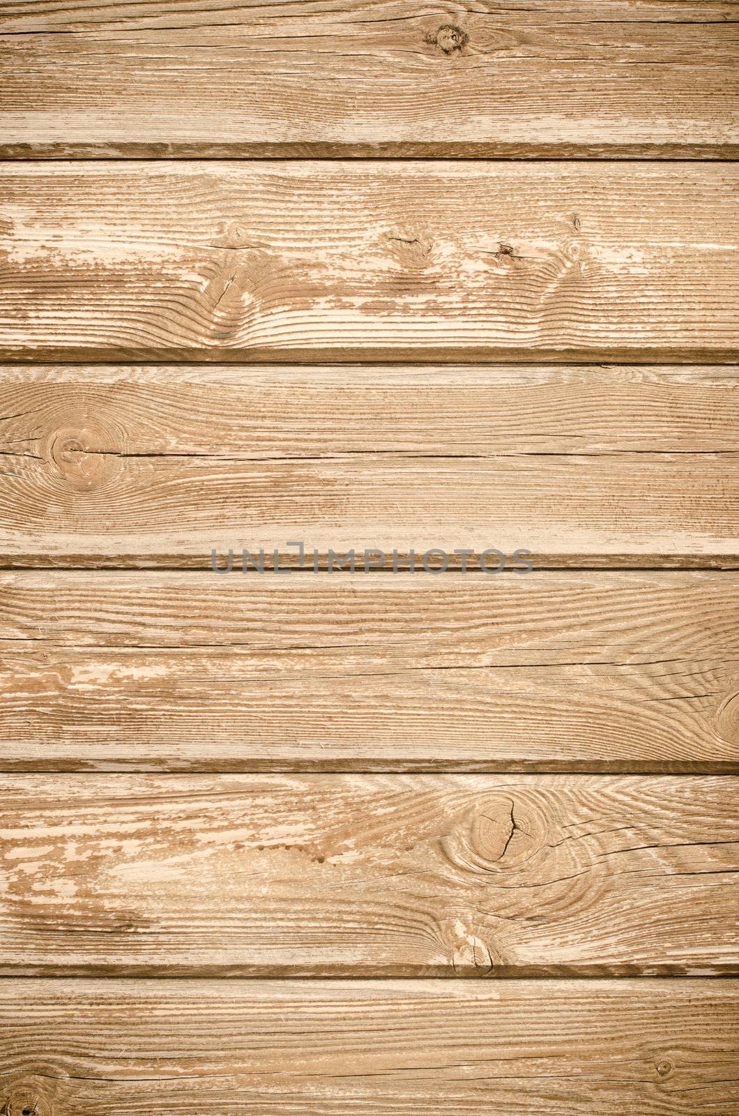 Vertical view of texture of pine wood background.