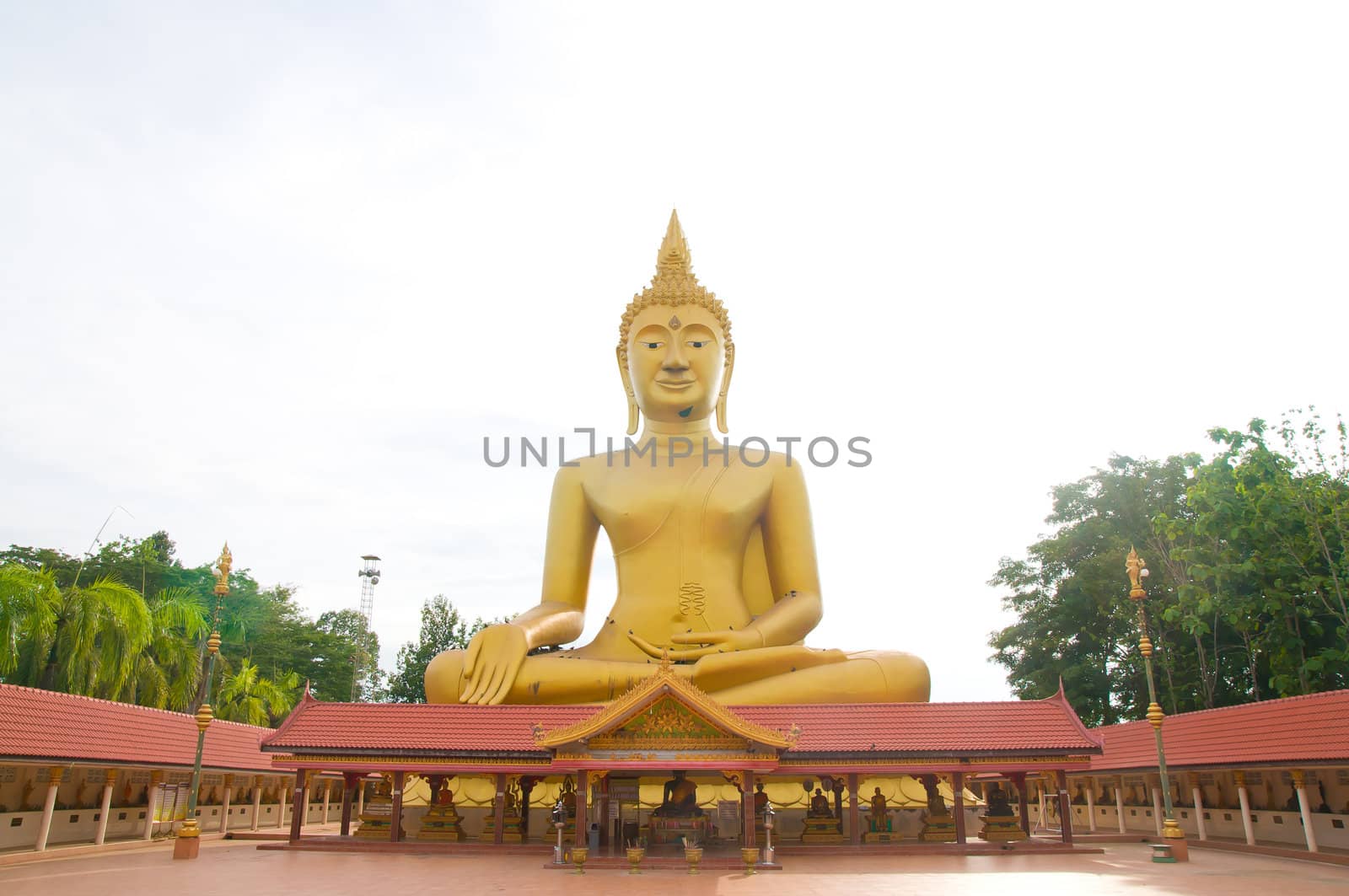 Golden Buddha statue at Wat Muang temple in Angthong, Thailand by swingvoodoo