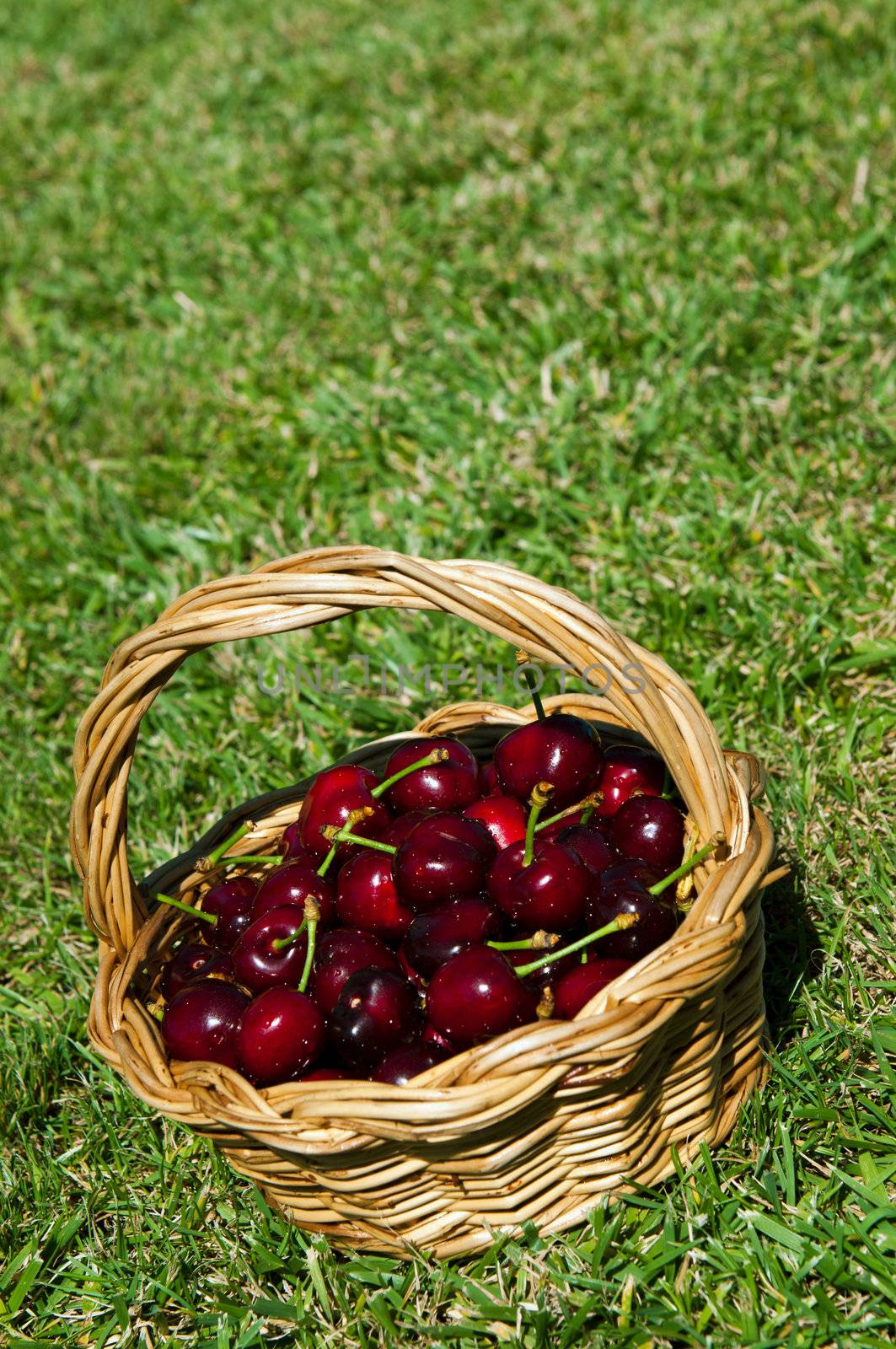 Cherries in a basket by luissantos84